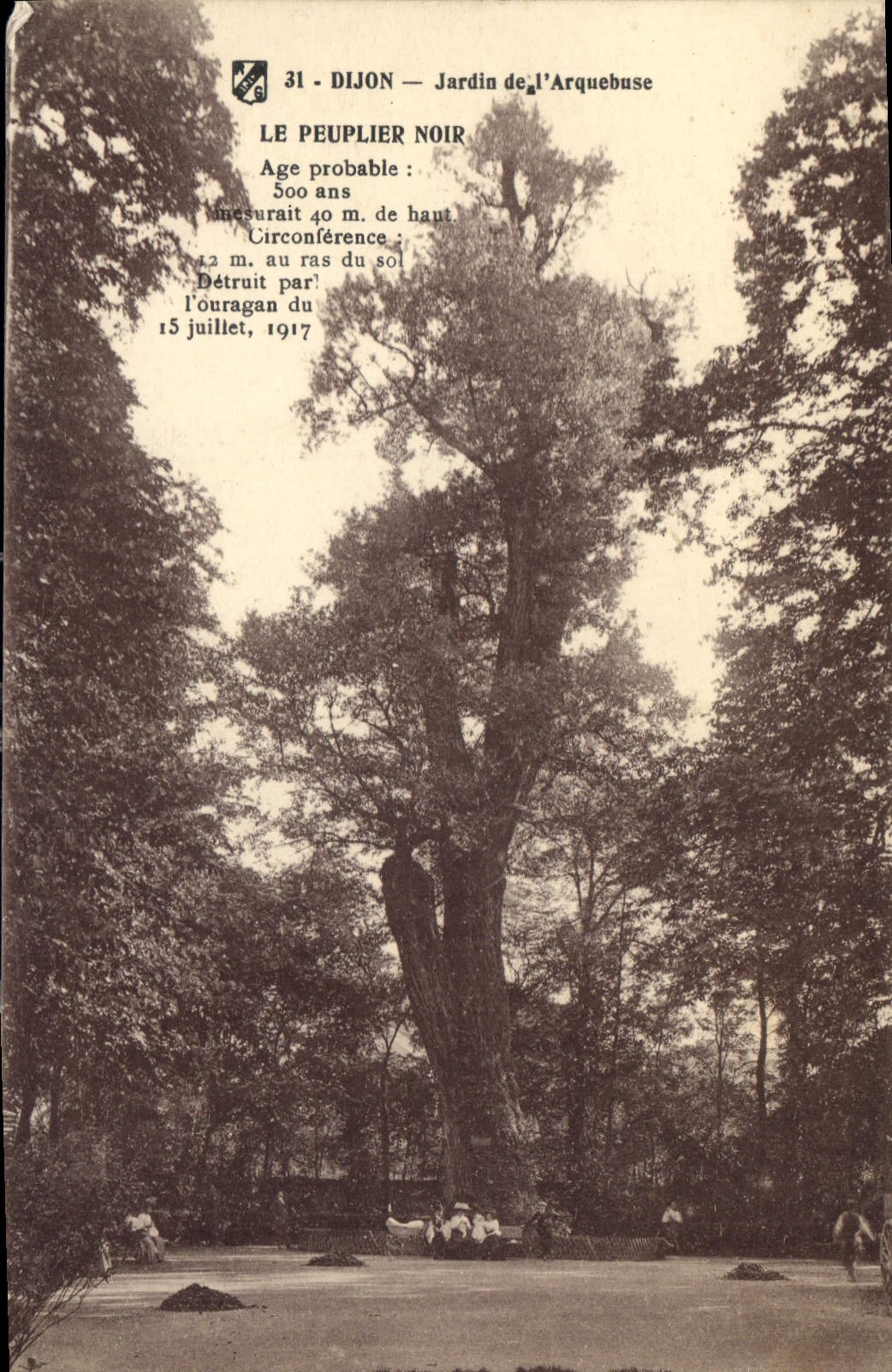 CPA Dijon Jardin de l'Arquebuse 