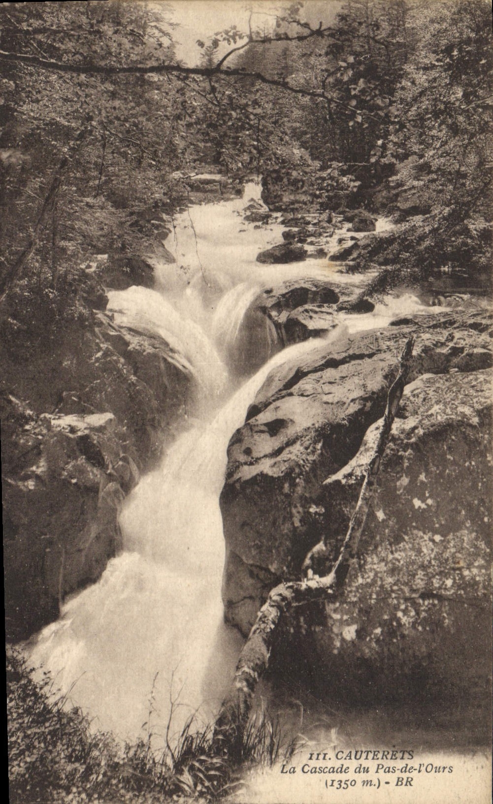 CPA Cauterets La Cascade du Pas de l'Ours 