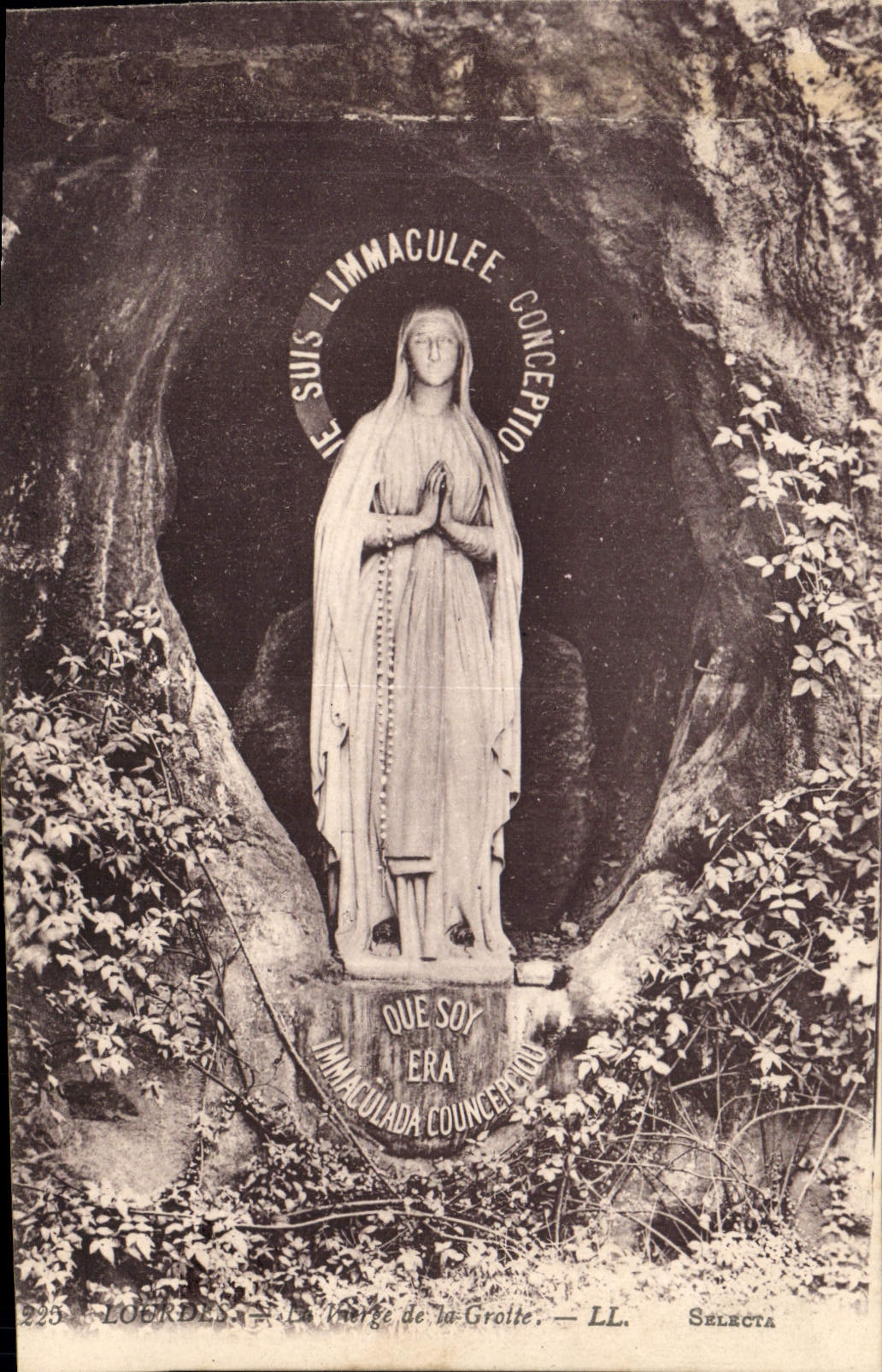 CPA Lourdes La Vierge de la Grotte 