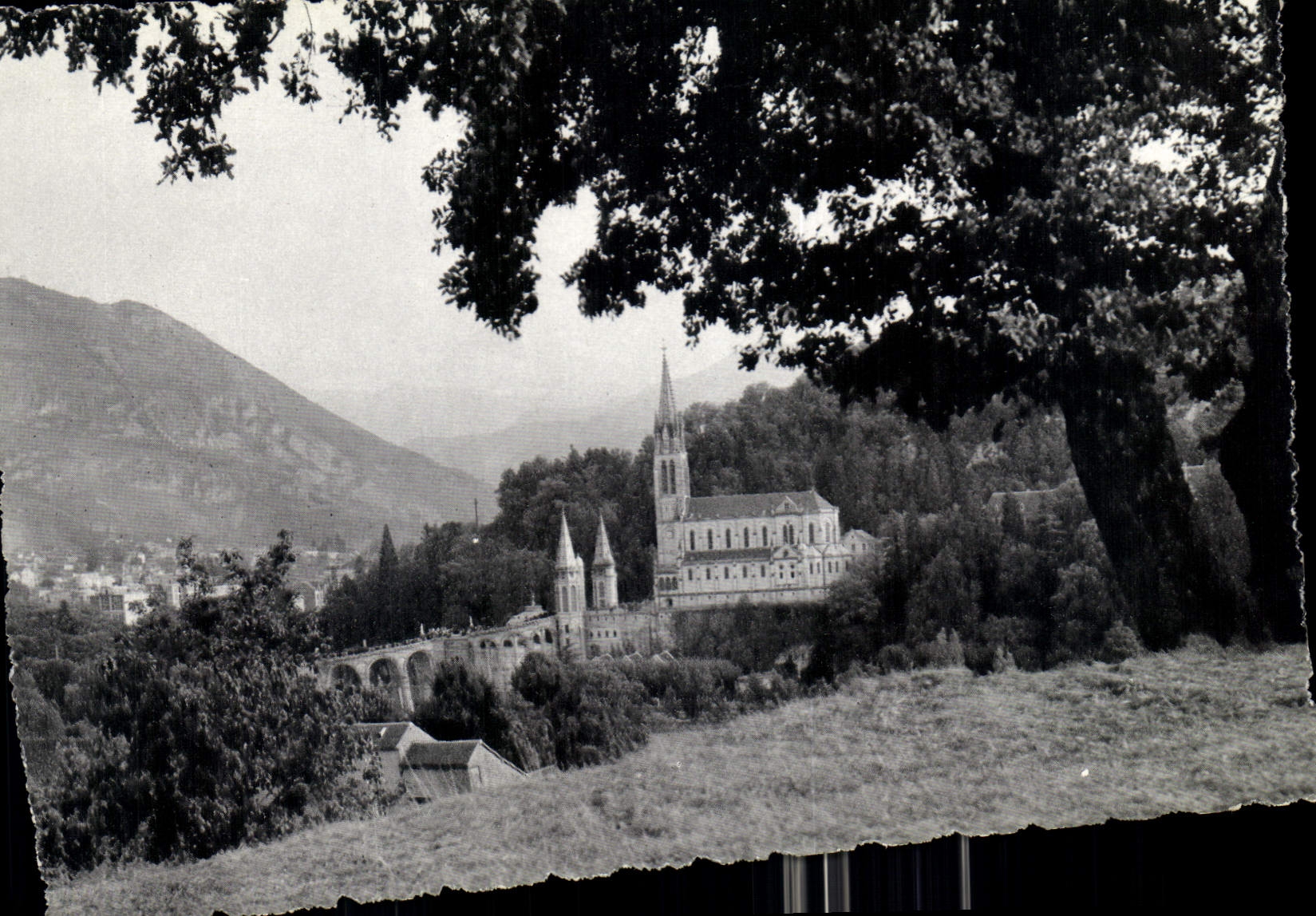 CPA Lourdes La Basilique et le Pic du Jer 