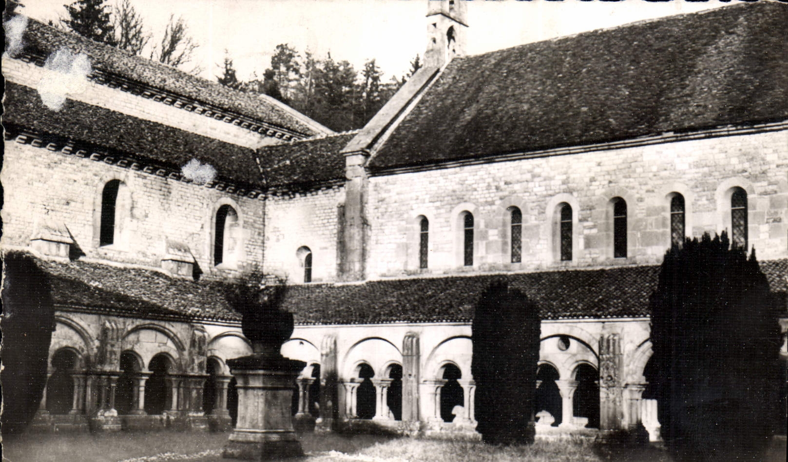 CPA Abbaye de Fontenay Interieur du Cloitre