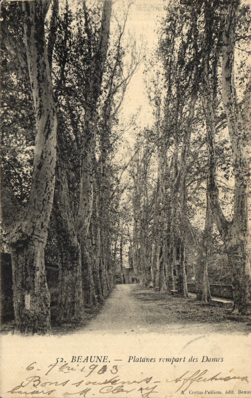 CPA Beaune Platanes rempart las Dames 