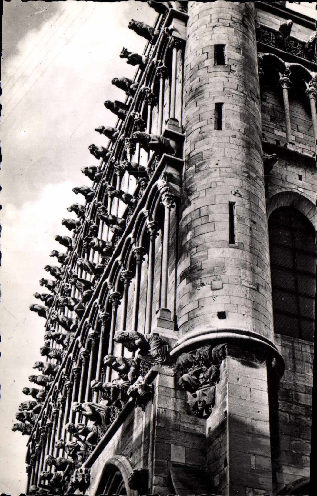 CPA Dijon Cote d'Or Eglise Notre Dame Les Chimeres 
