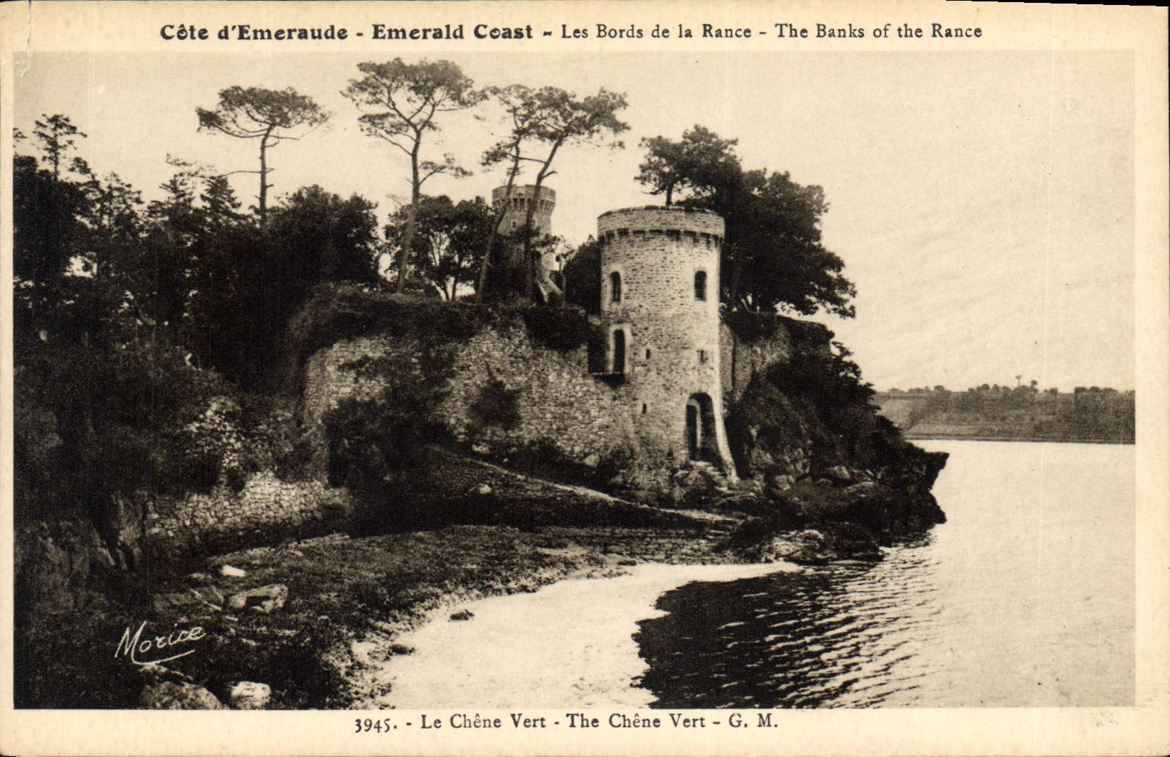 CPA Cote d'Emeraude Les Bords de la Rance Le Chene Vert