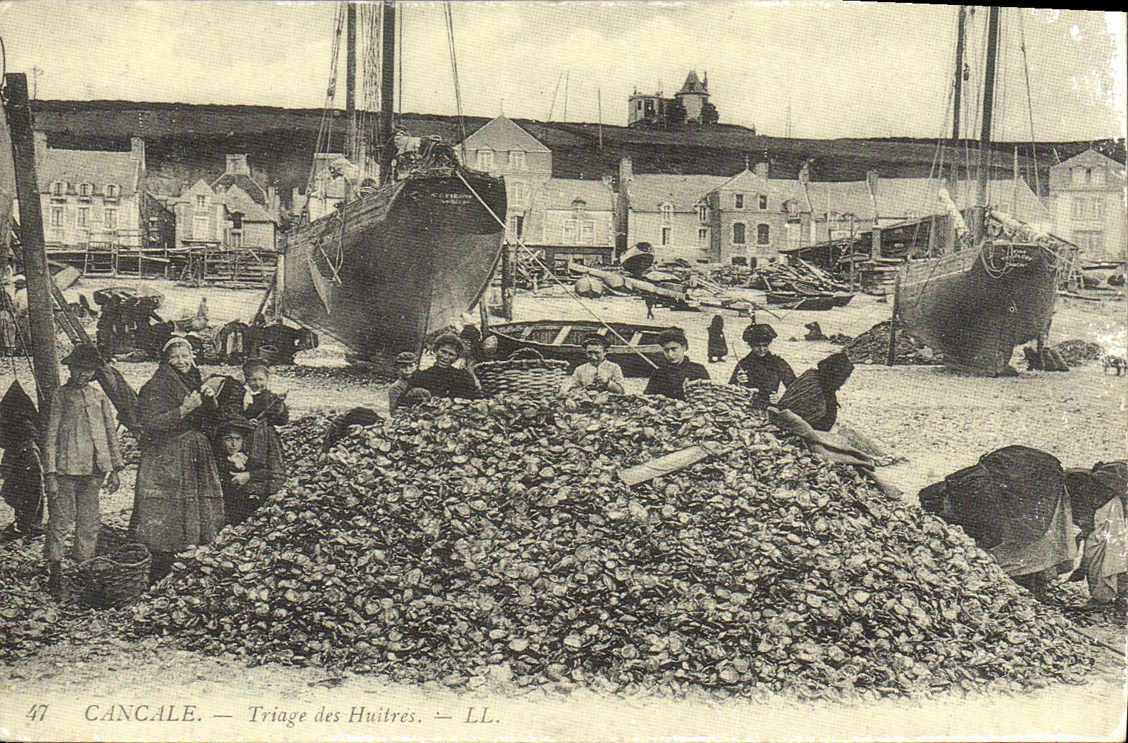 REPRO Cancale Triage des Huitres 