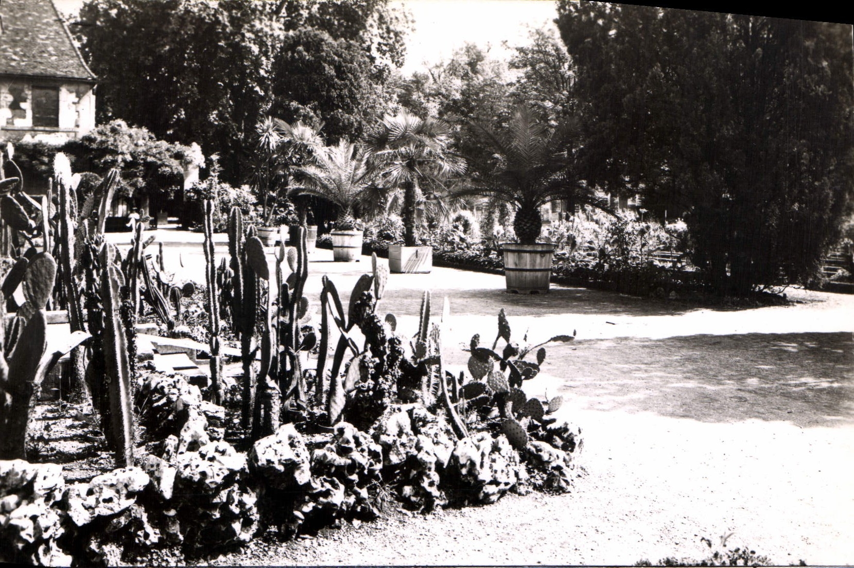CPA Dijon Cote d'Or Un coin des Jardins de l'Arquebuse 
