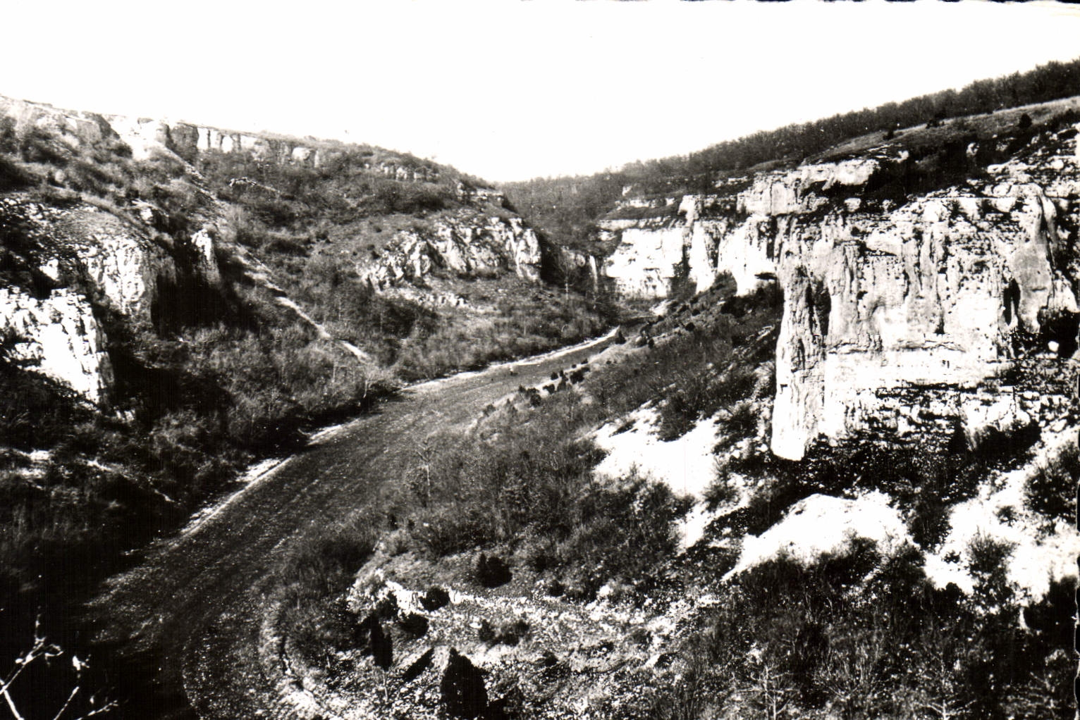 CPA Nuits Saint Georges Cote d'Or La Serree 