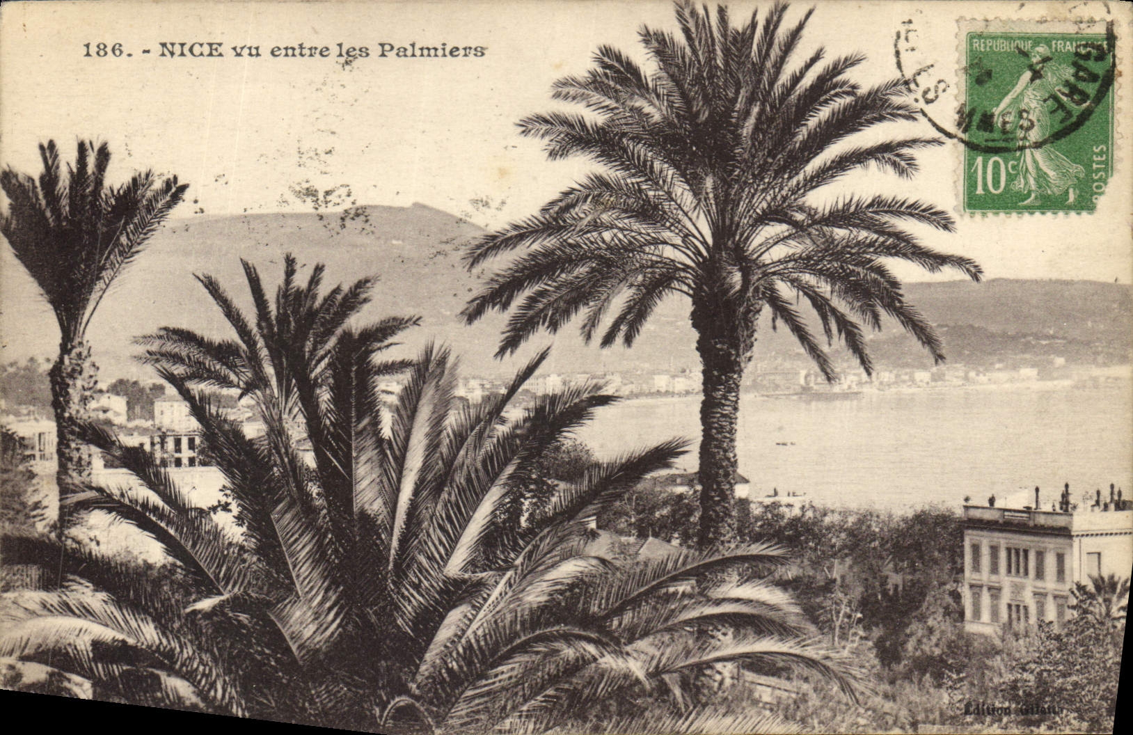 CPA Nice vu entre les Palmiers 