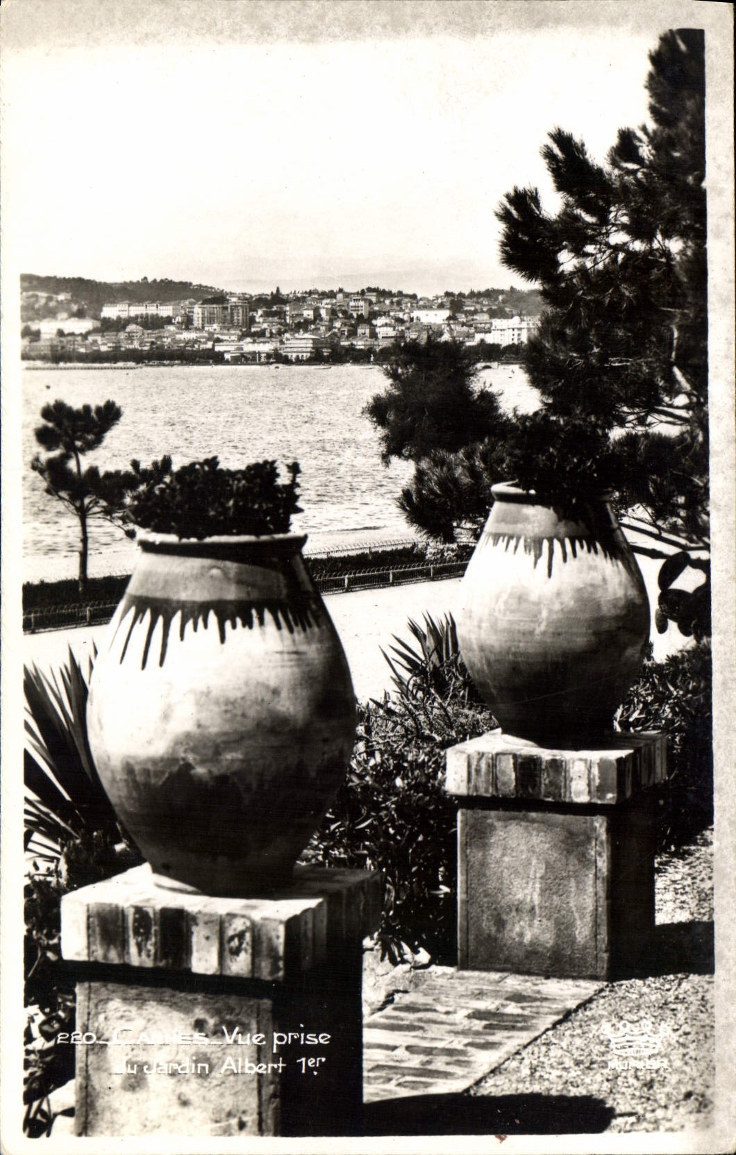 CPA Cannes Vue prise du Jardin Albert 