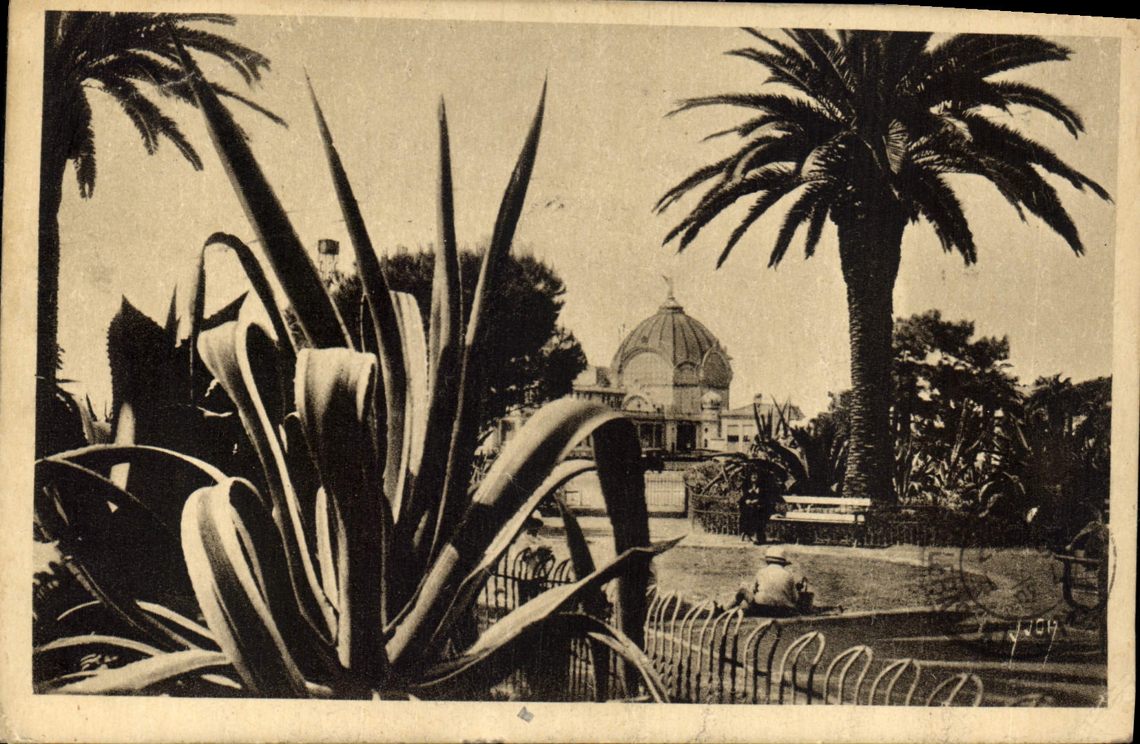 CPA Nice Alpes Maritimes Jardin Albert 1er