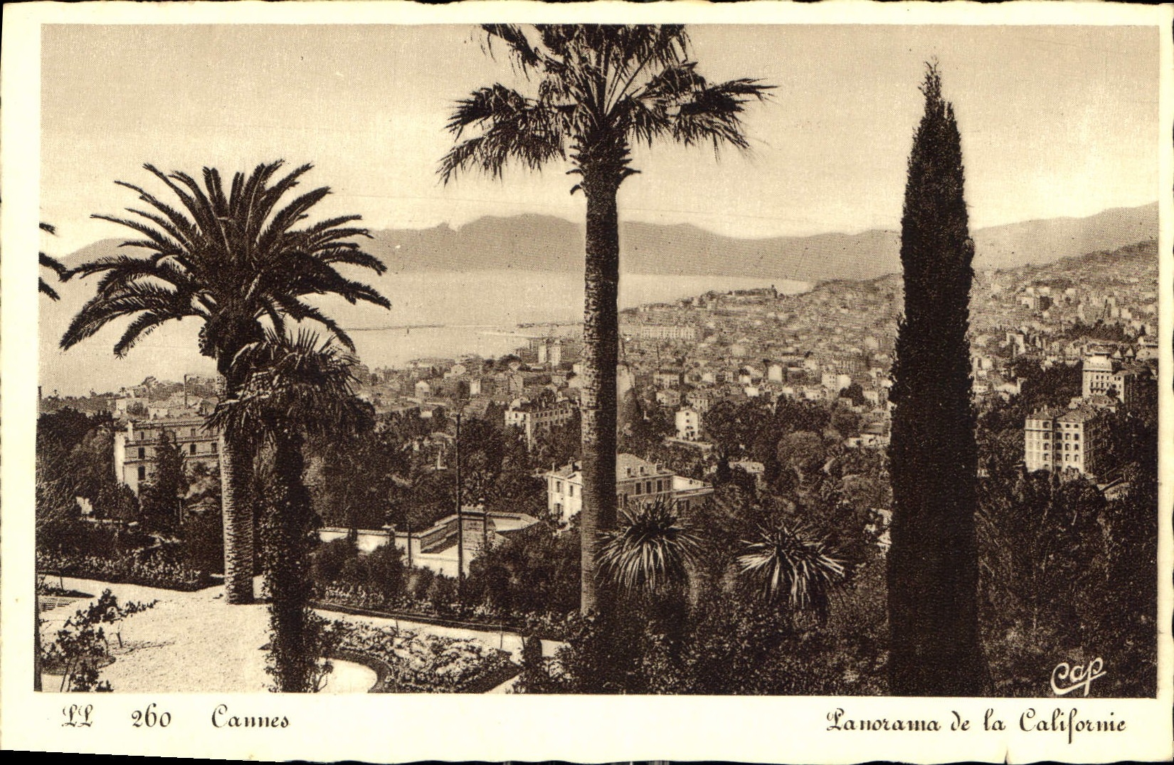 CPA Cannes Panorama de la Californie 