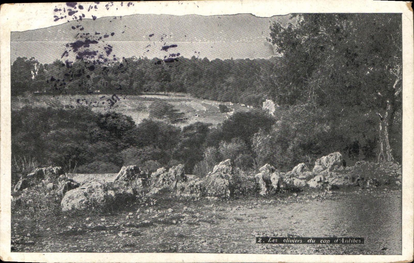 CPA Les oliviers du cap d'Antibes