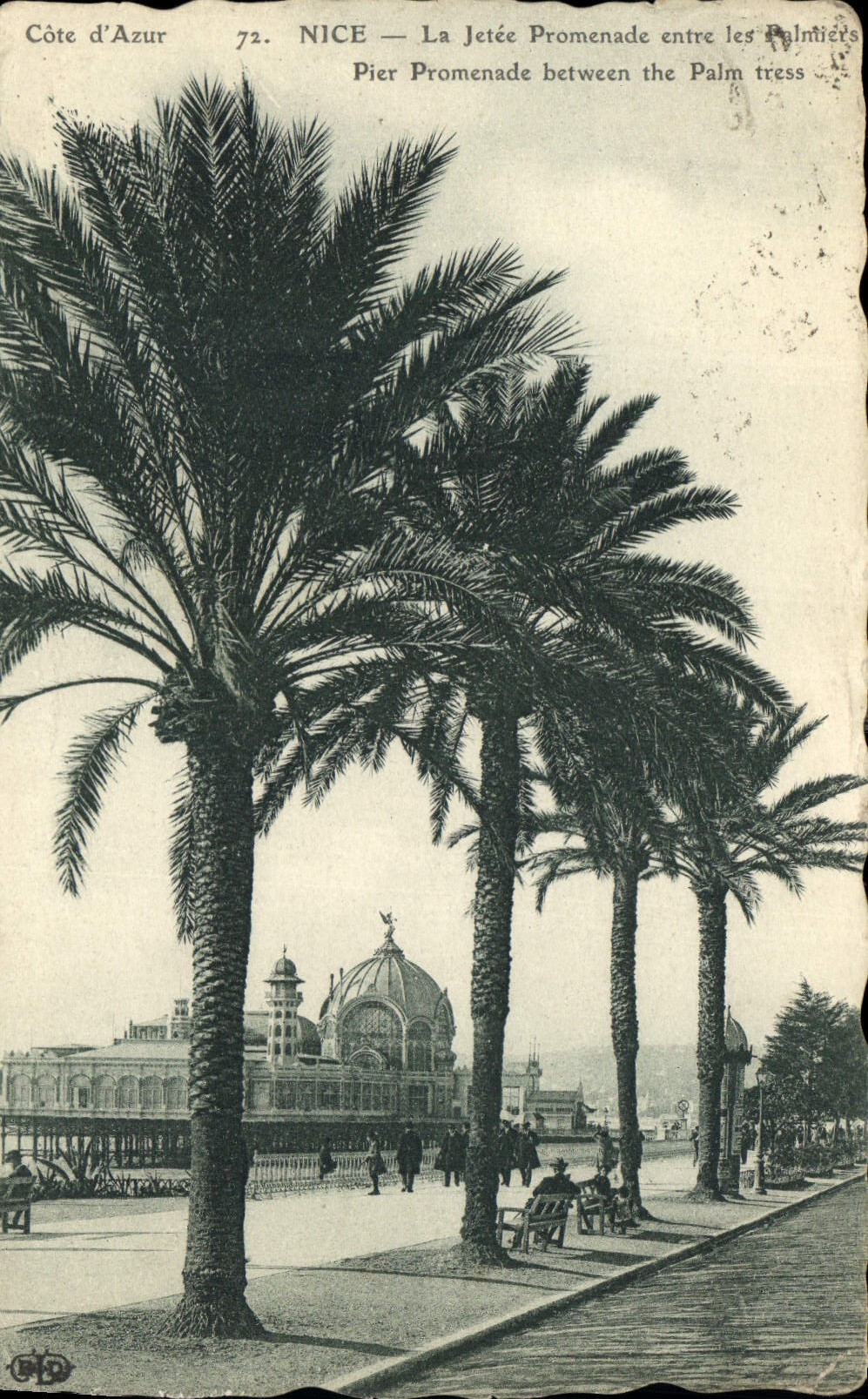 CPA Nice La Jetee Promenade entre les Palmiers