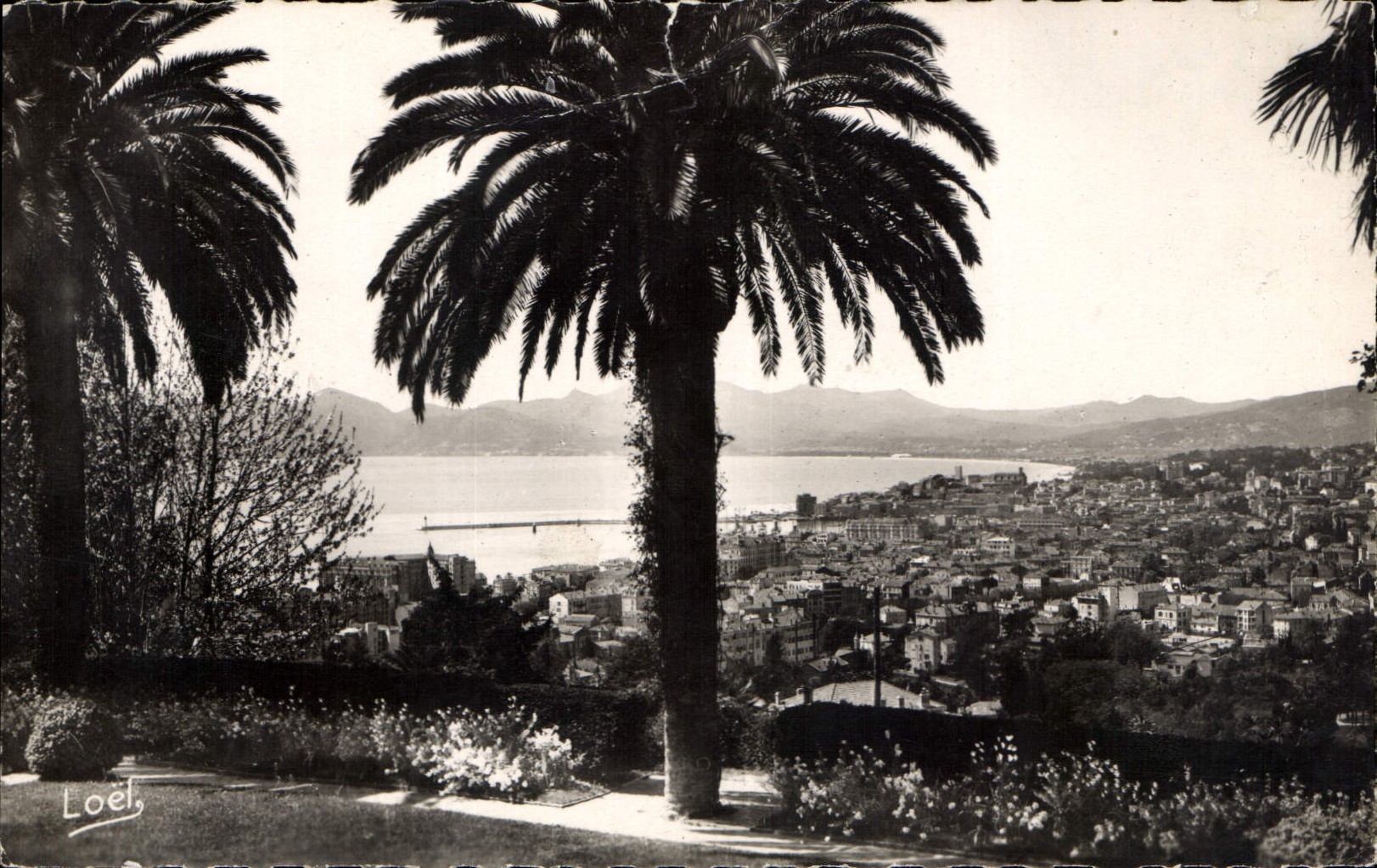 CPA Cannes Vue generale 