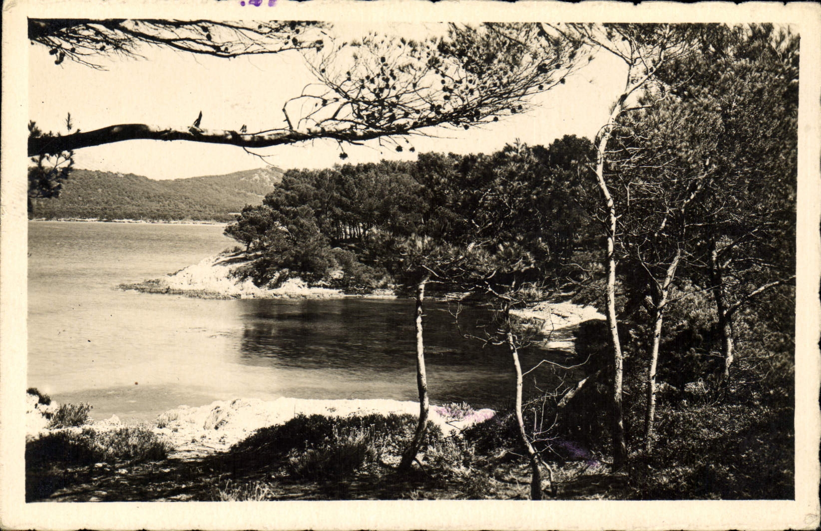 CPA Porquerolles