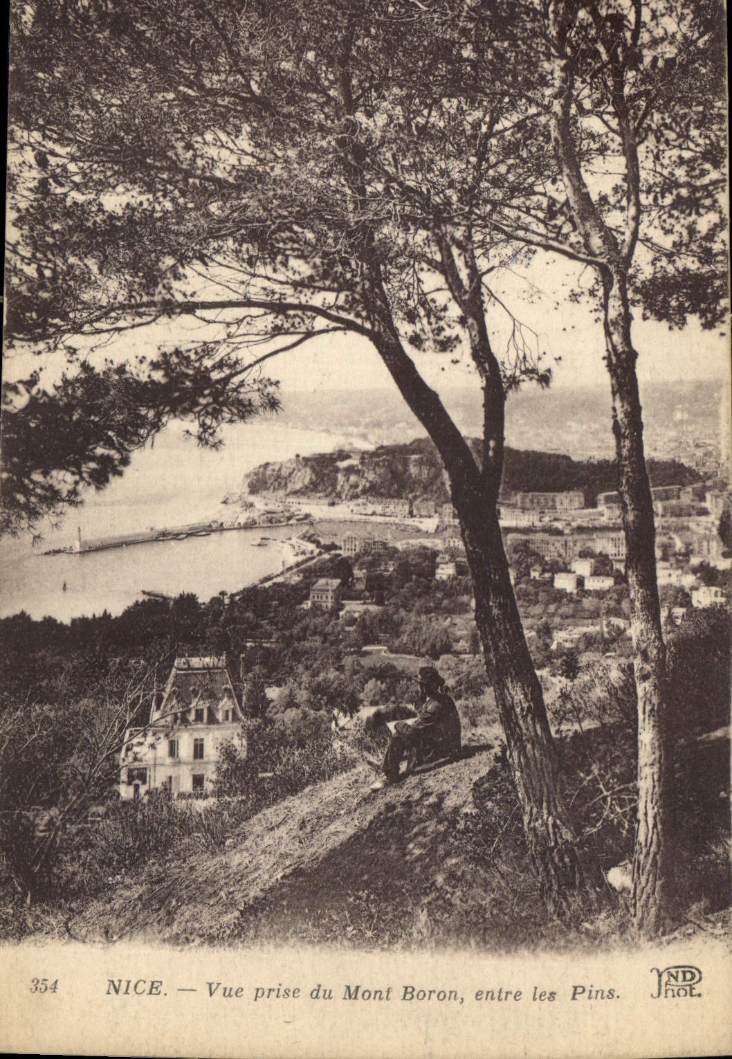 CPA Nice Vue prise du Mont Boron entre les Pins 