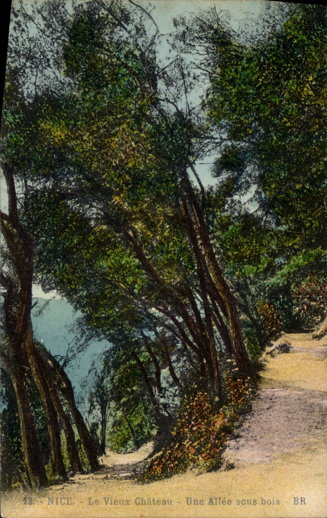CPA Nice Le Vieux Chateau Une Allee sous bois