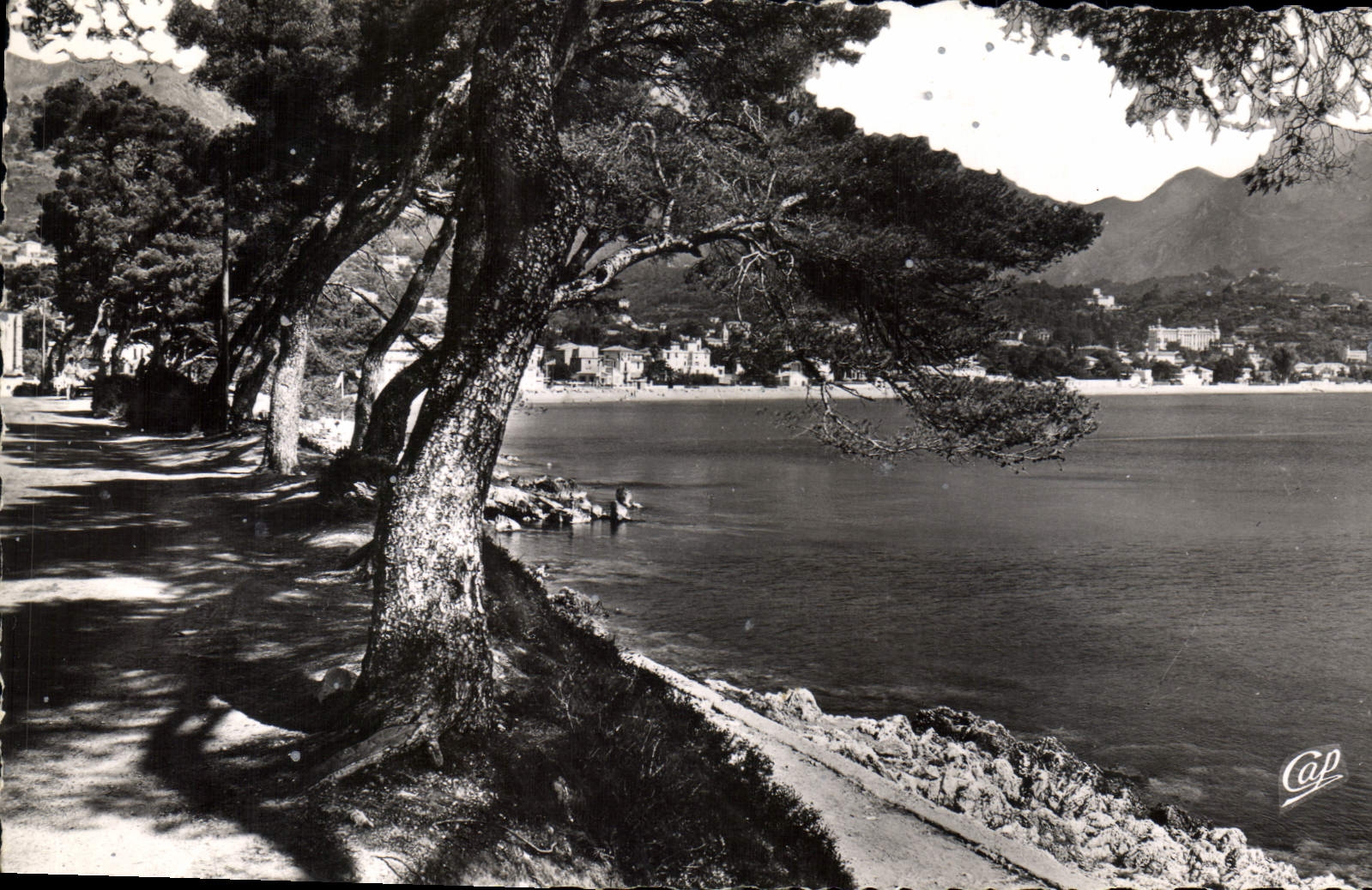 CPA Menton La promenade du Cap Martin 