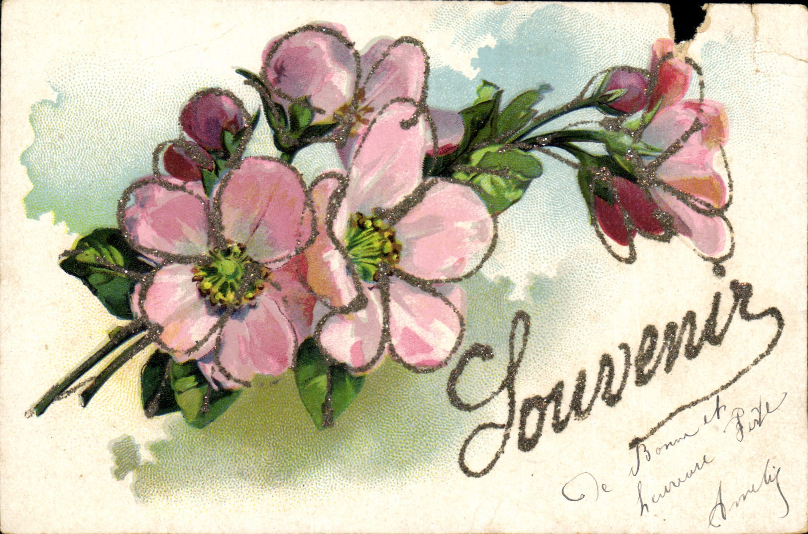 CPA Fleurs