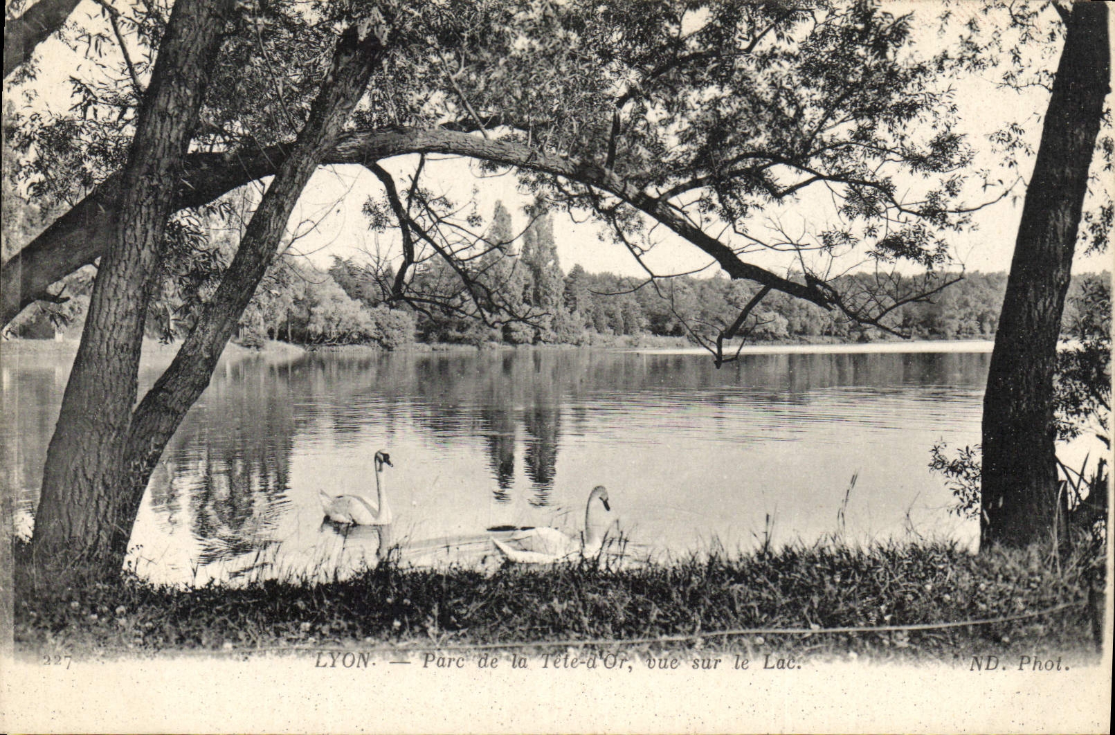 CPA Lyon Parc de la Tete d'Or Vue sur le Lac