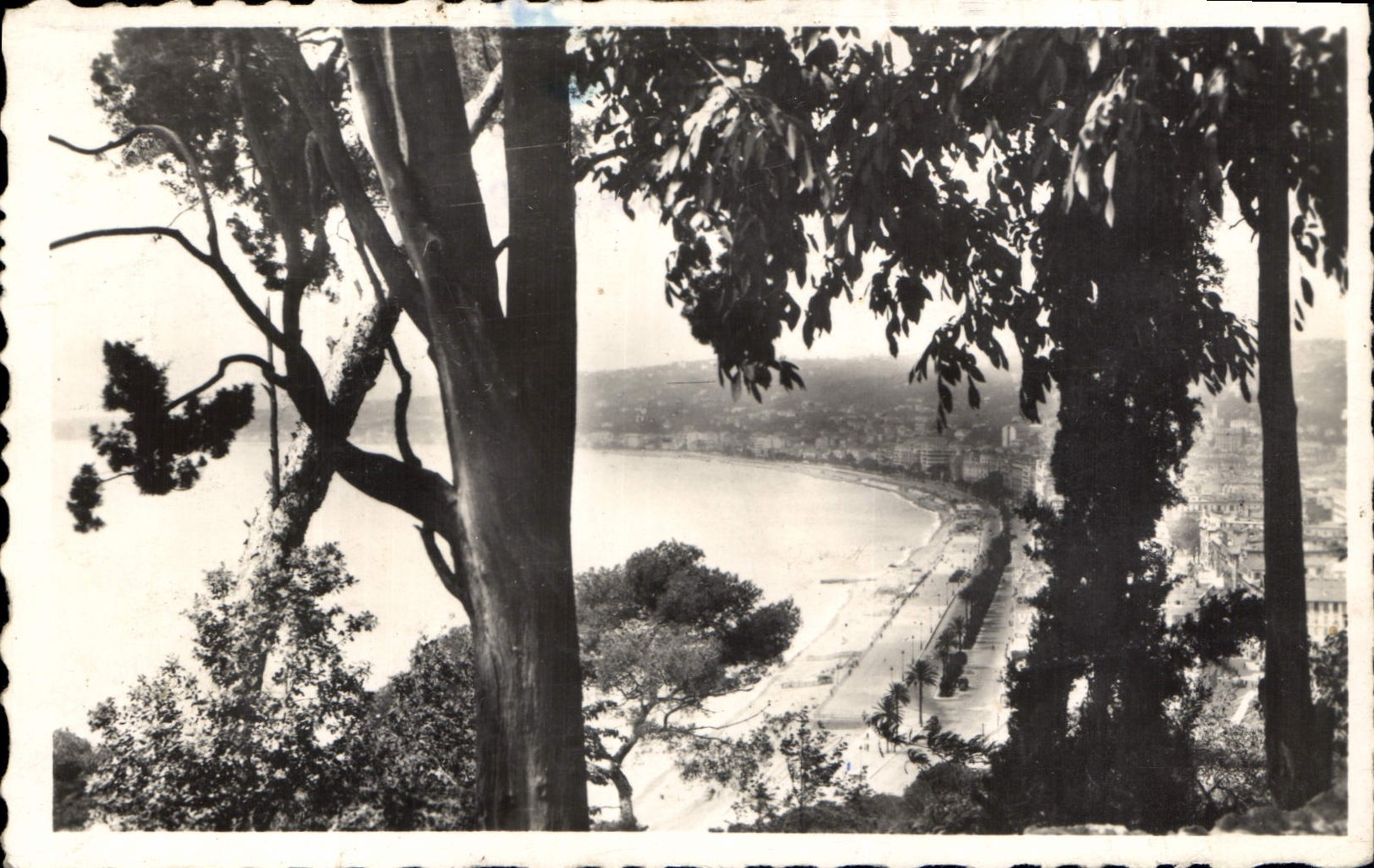 CPA Nice Vue du Chateau 