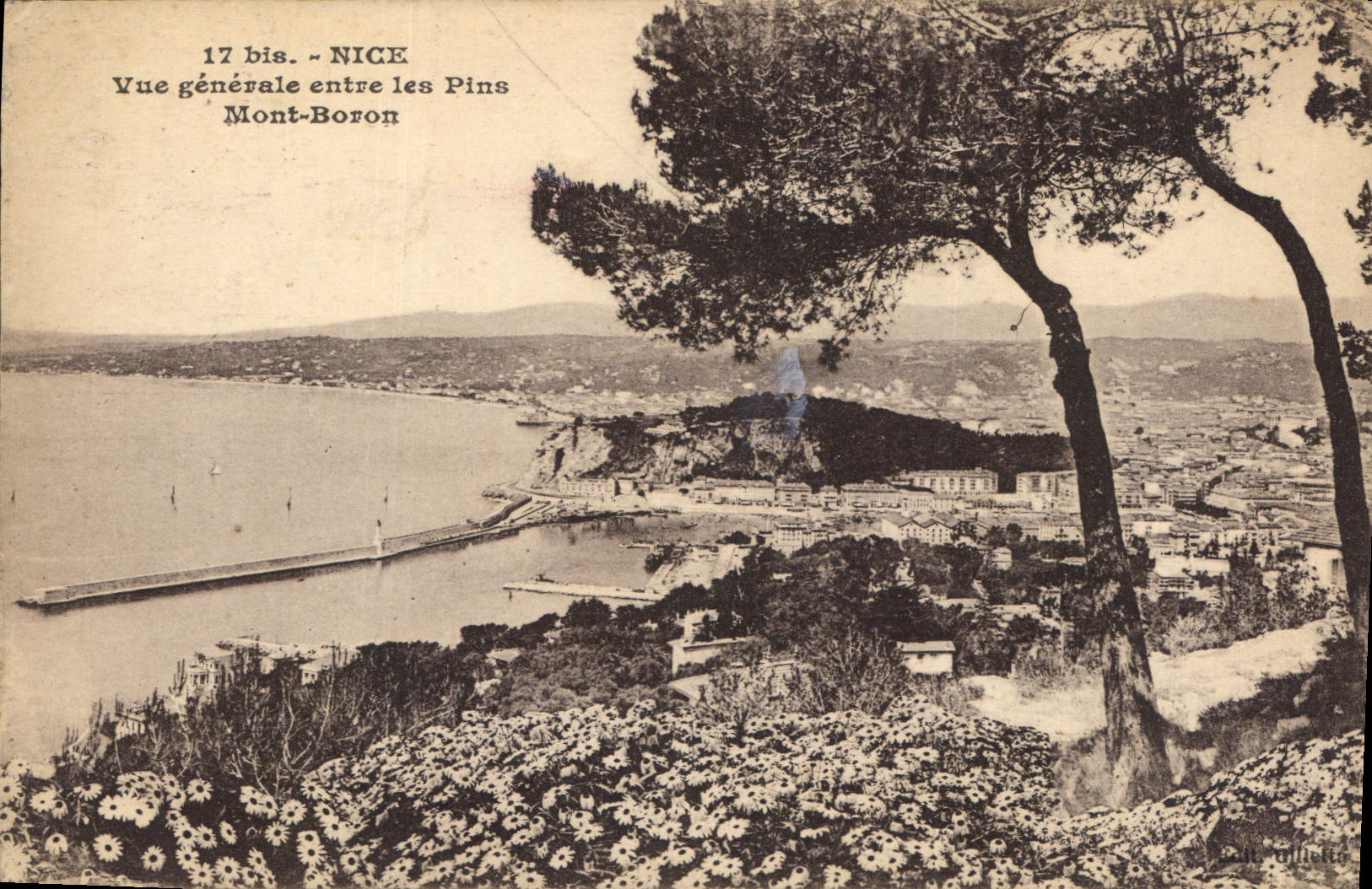 CPA Nice Vue generale entre les Pins Mont Boron 