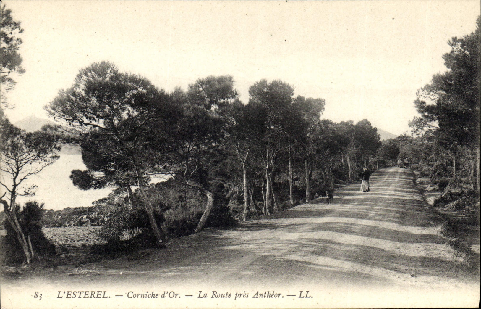 CPA L'Esterel Corniche d'Or La Route pres Antheor