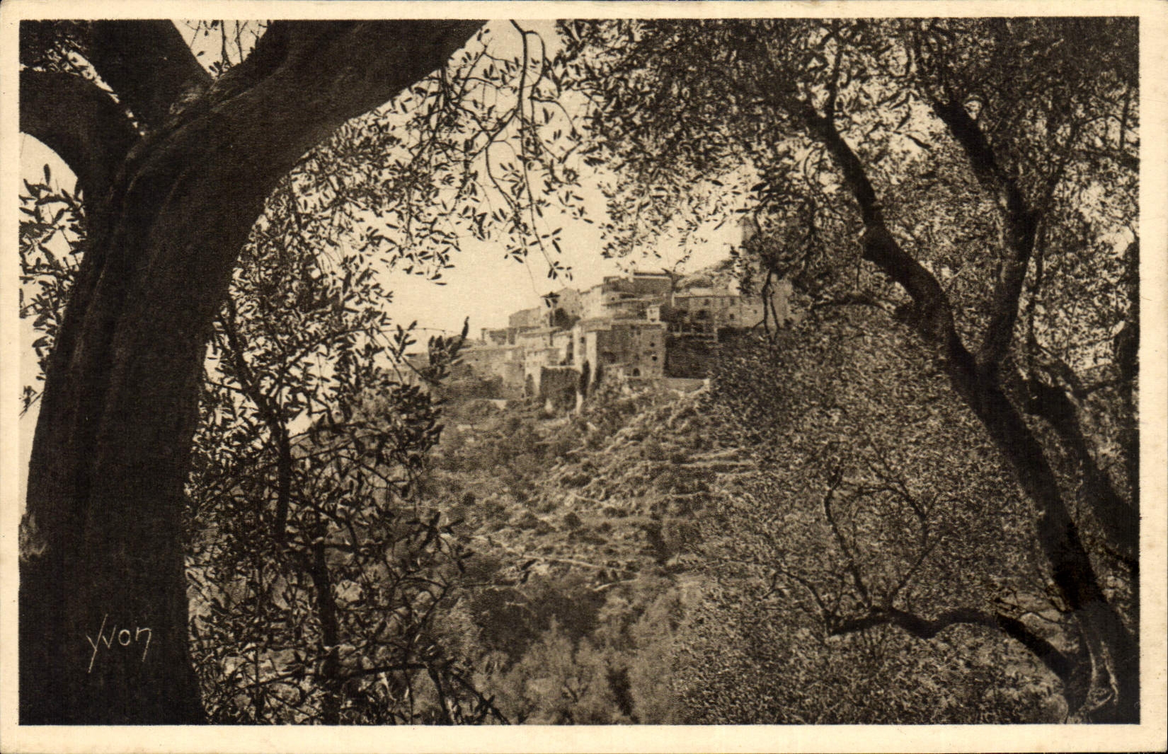 CPA Eze Alpes Maritimes Le Village vu a travers les Oliviers 