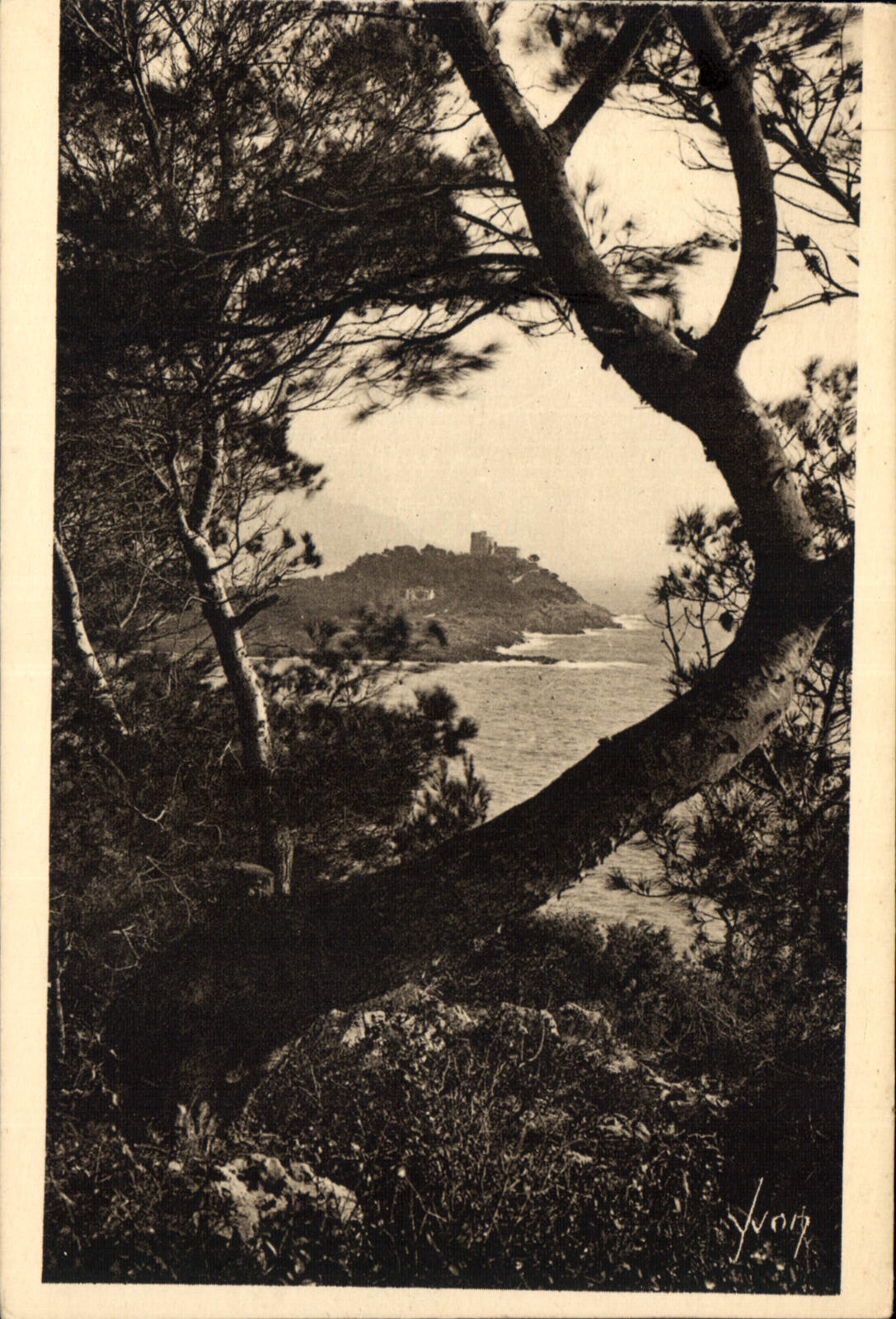 CPA Cote d'Azur Le Cap Ferrat vu a travers les Pins d'Alep