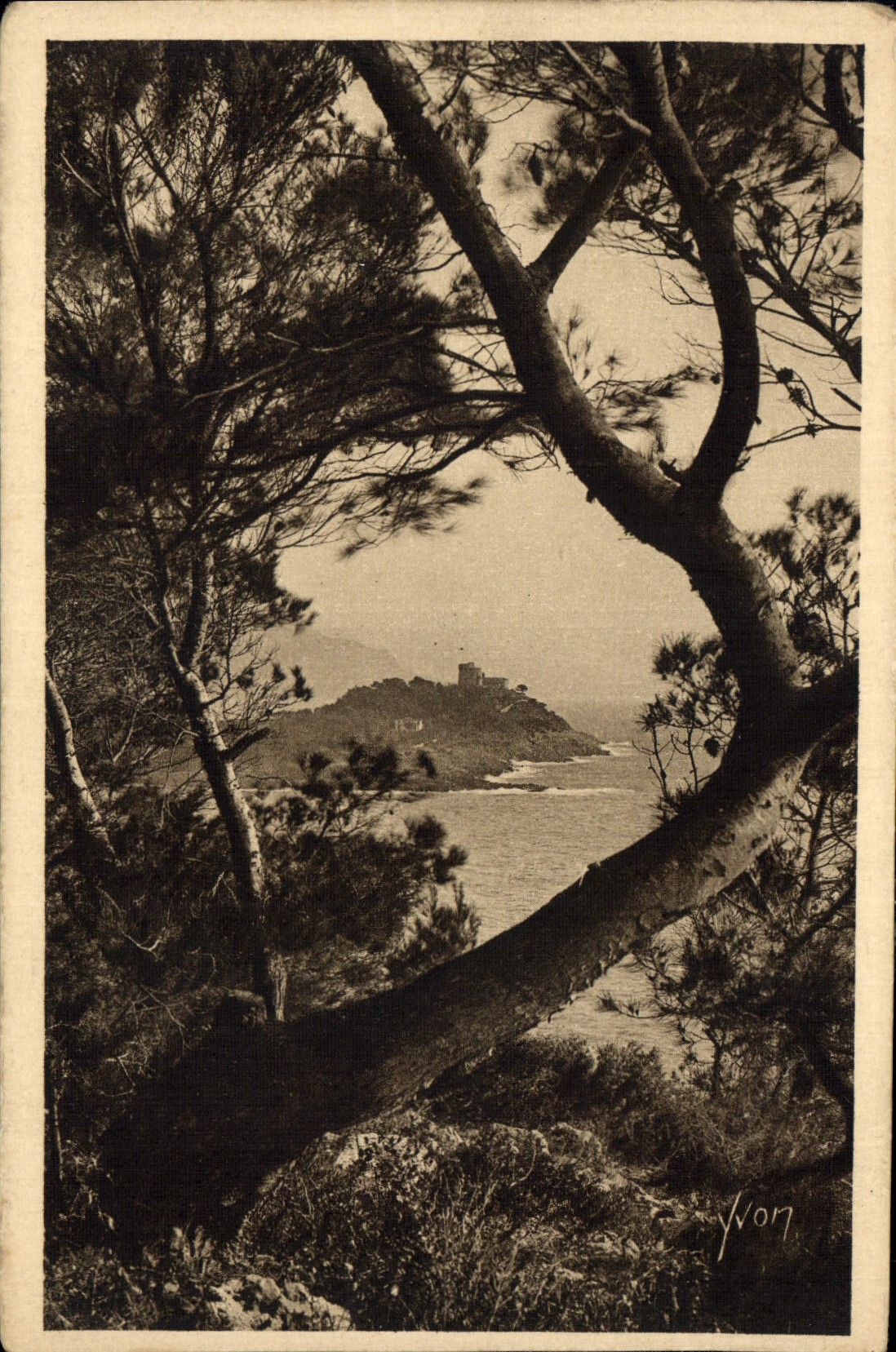 CPA Cote d'Azur Le Cap Ferrat vu a travers les Pins d'Alep 