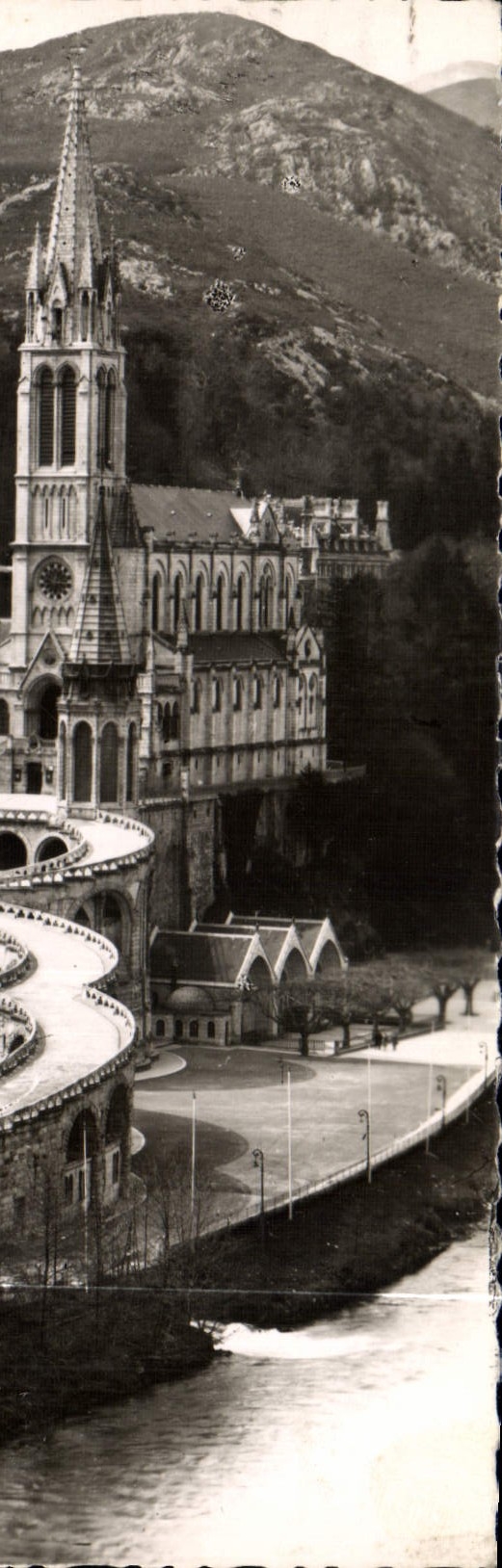 CPA Lourdes La Basilique et le Gave 