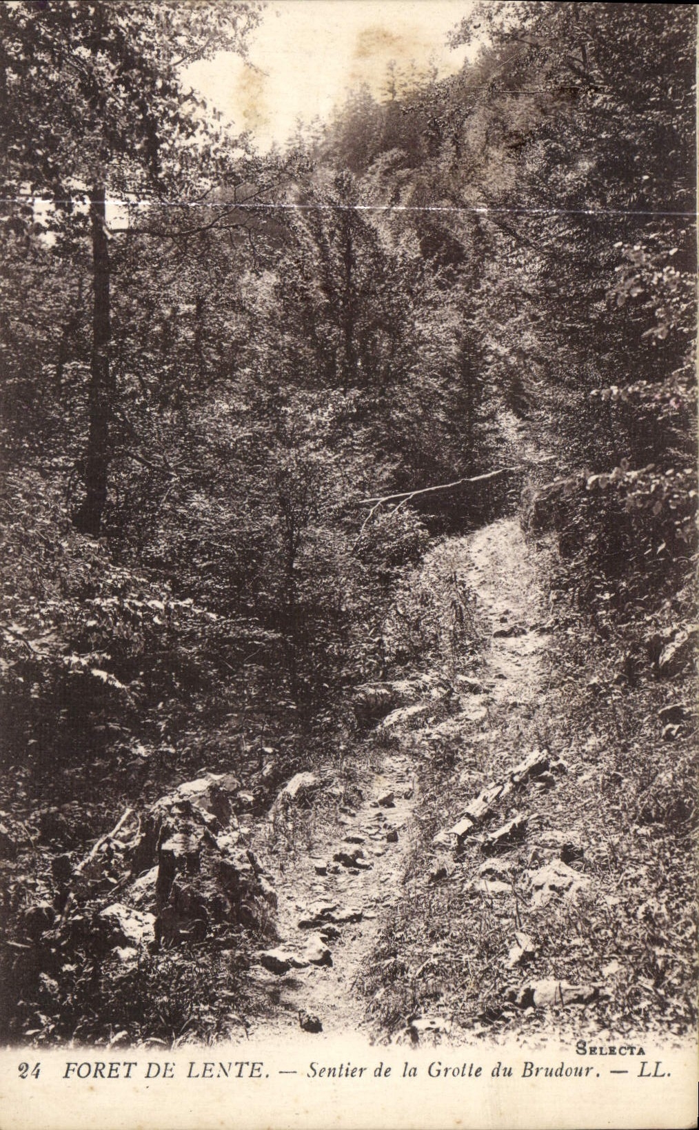 CPA Foret de Lente Sentier de la Grotte du Brudour