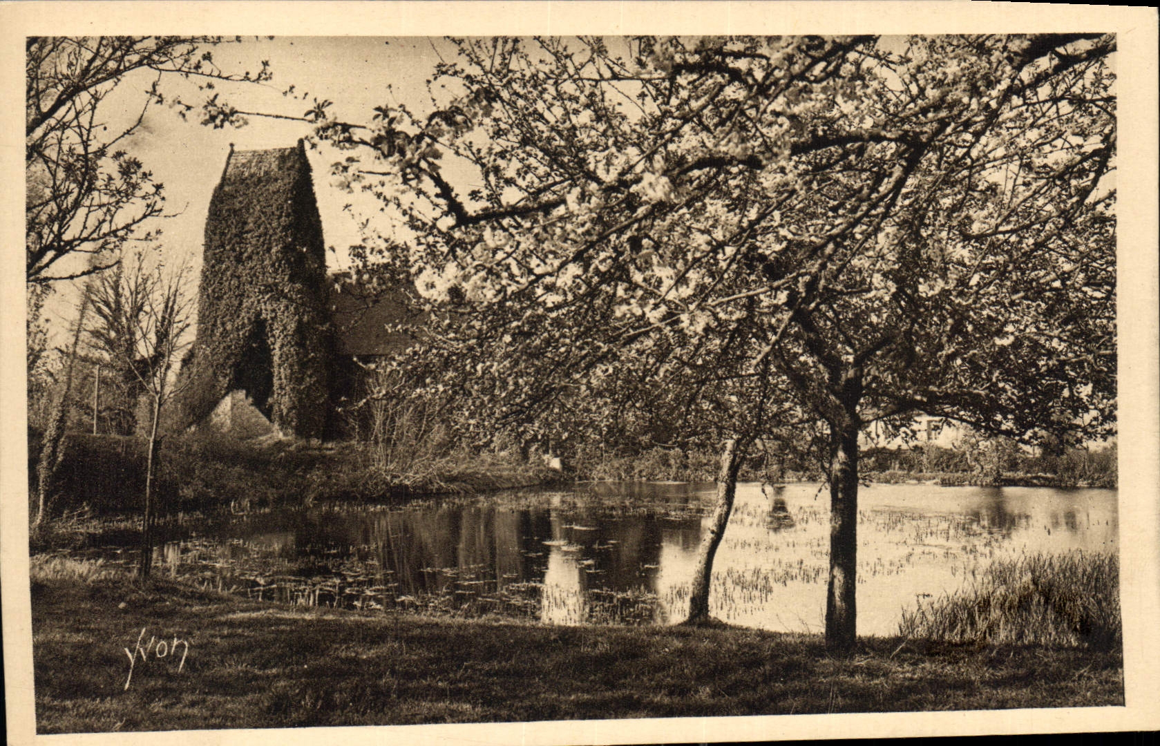 CPA Normandie Vieux Manoir sous les pommiers en fleurs 