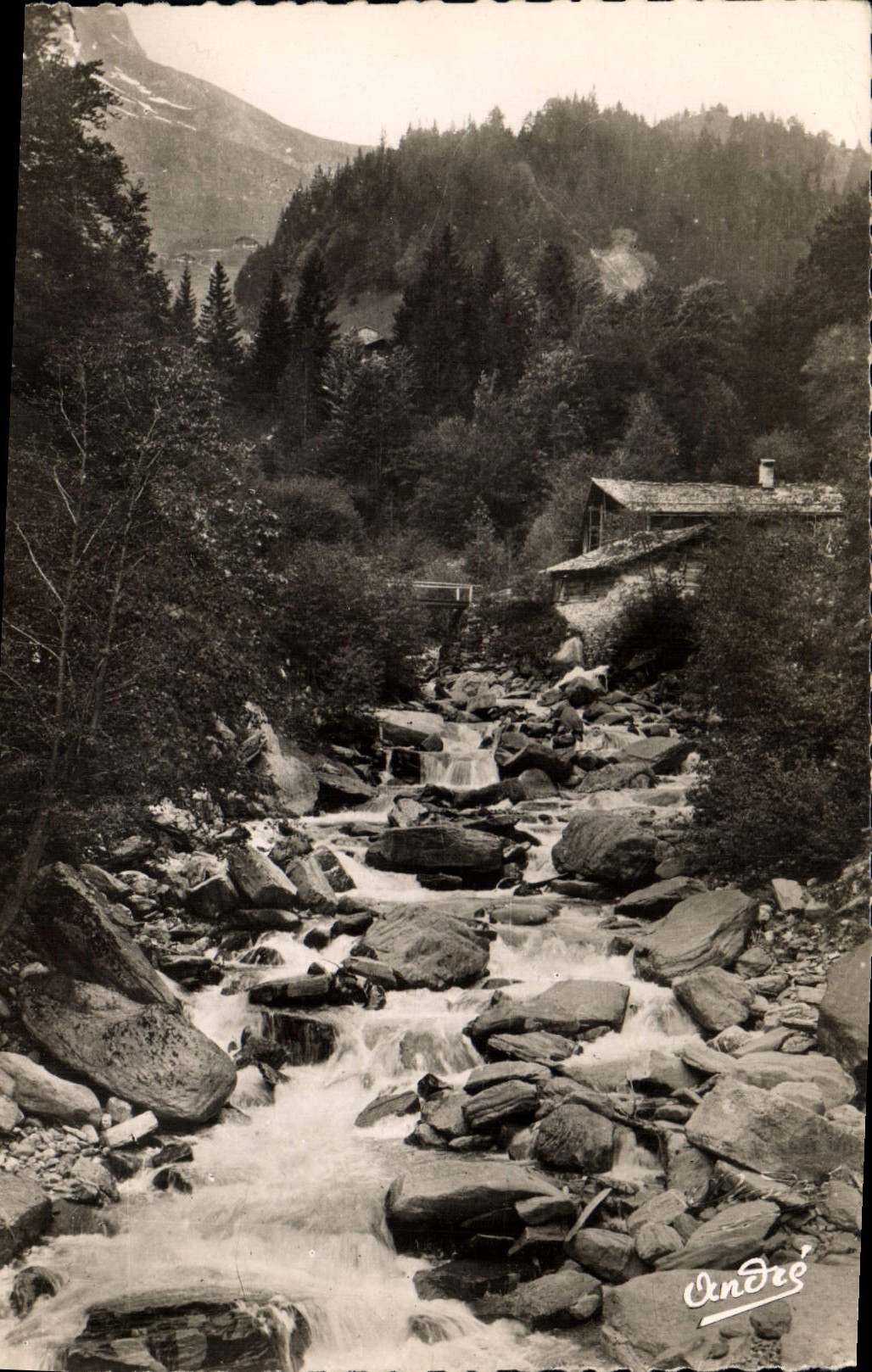 CPA Paysages Alpestres Le Torrent 