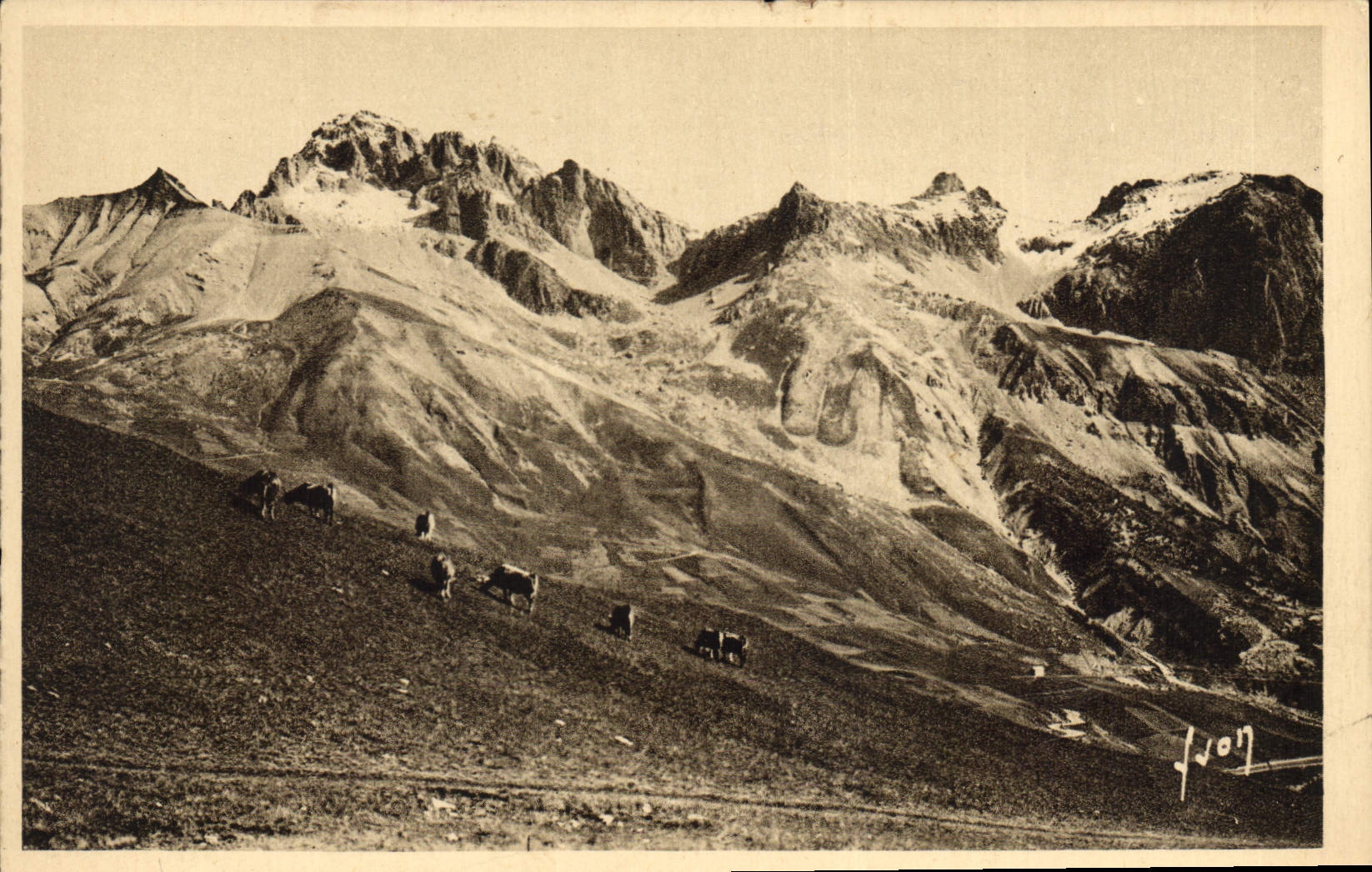 CPA Col du Lauterat Troupeau au Paturage Massif du Galibier 