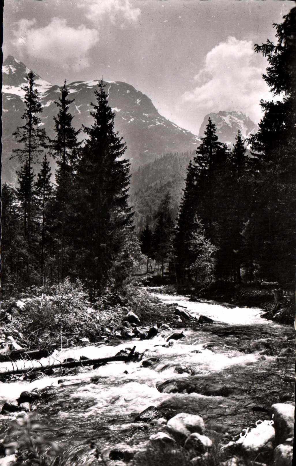 CPA Paysages Alpestres Le Torrent 