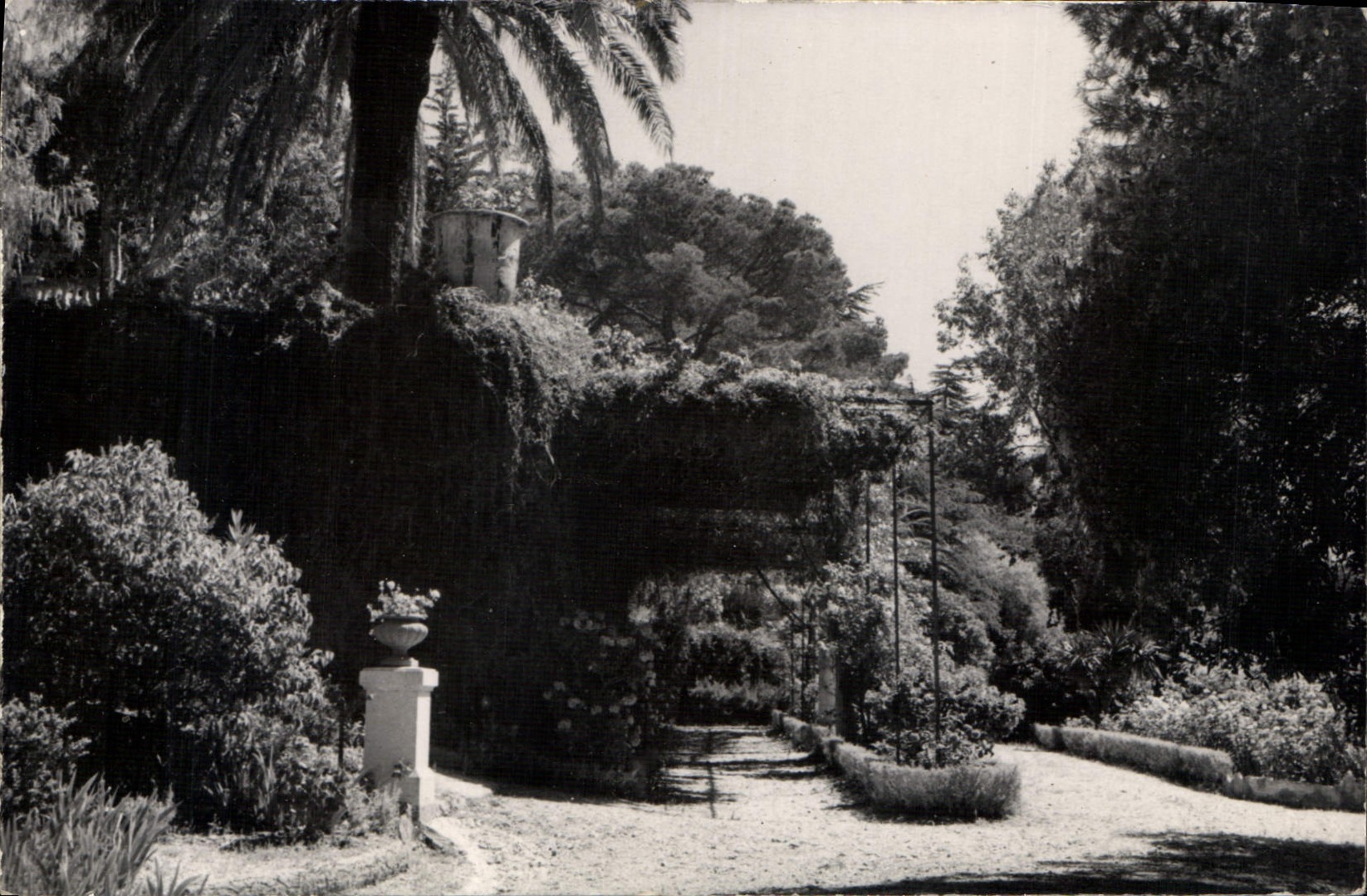 CPA Le Cigalou Residance dans le parc