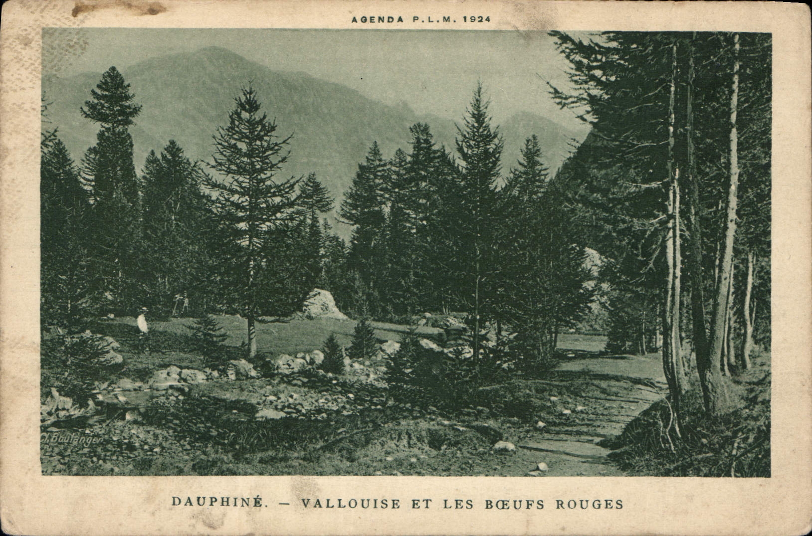 CPA Dauphine Vallouise et les Boeufs Ronges 