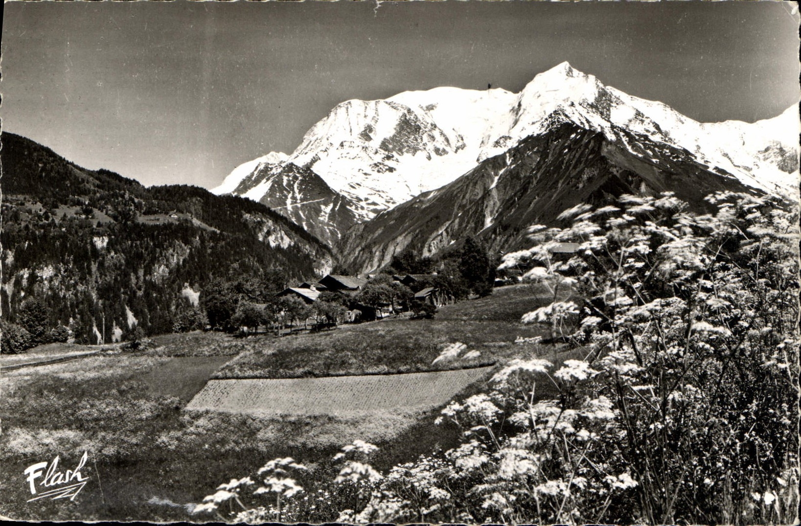 CPA La Chaine du Mont Blanc en ete 