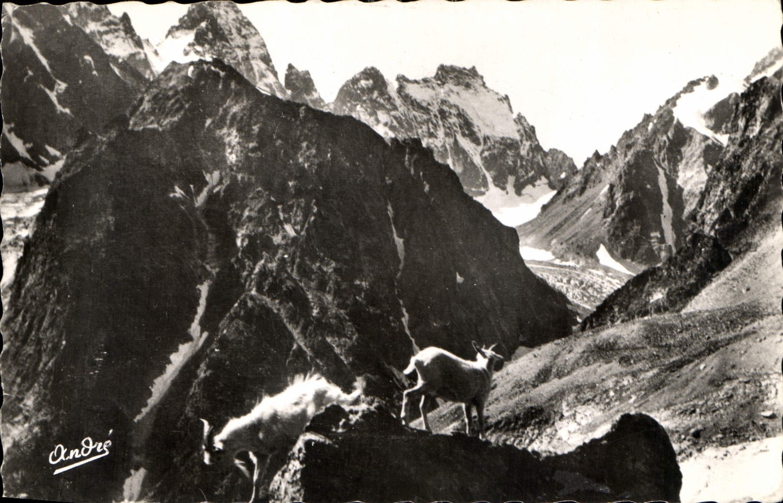 CPA Paysages Alpestres 