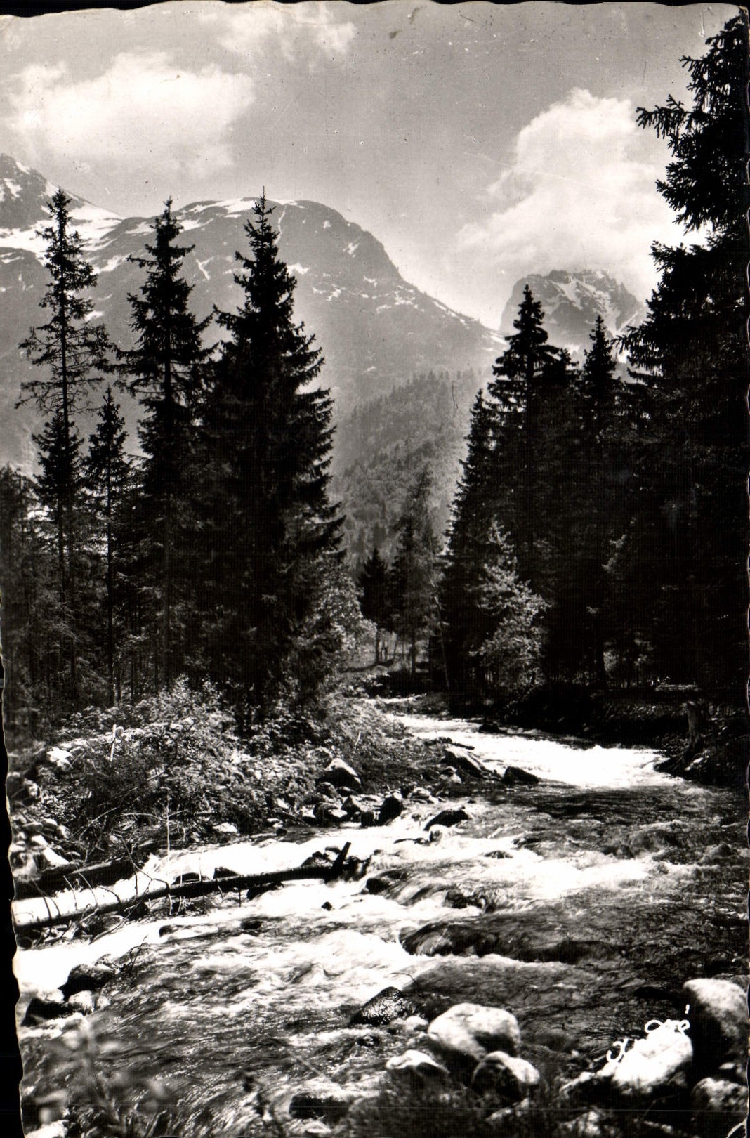 CPA Paysages Alpestres le Torrent 