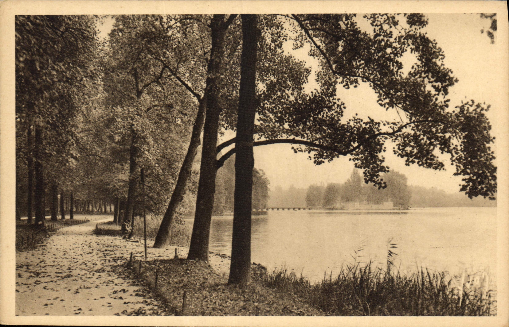 CPA Lyon Rhone Parc de la Tete d'Or 