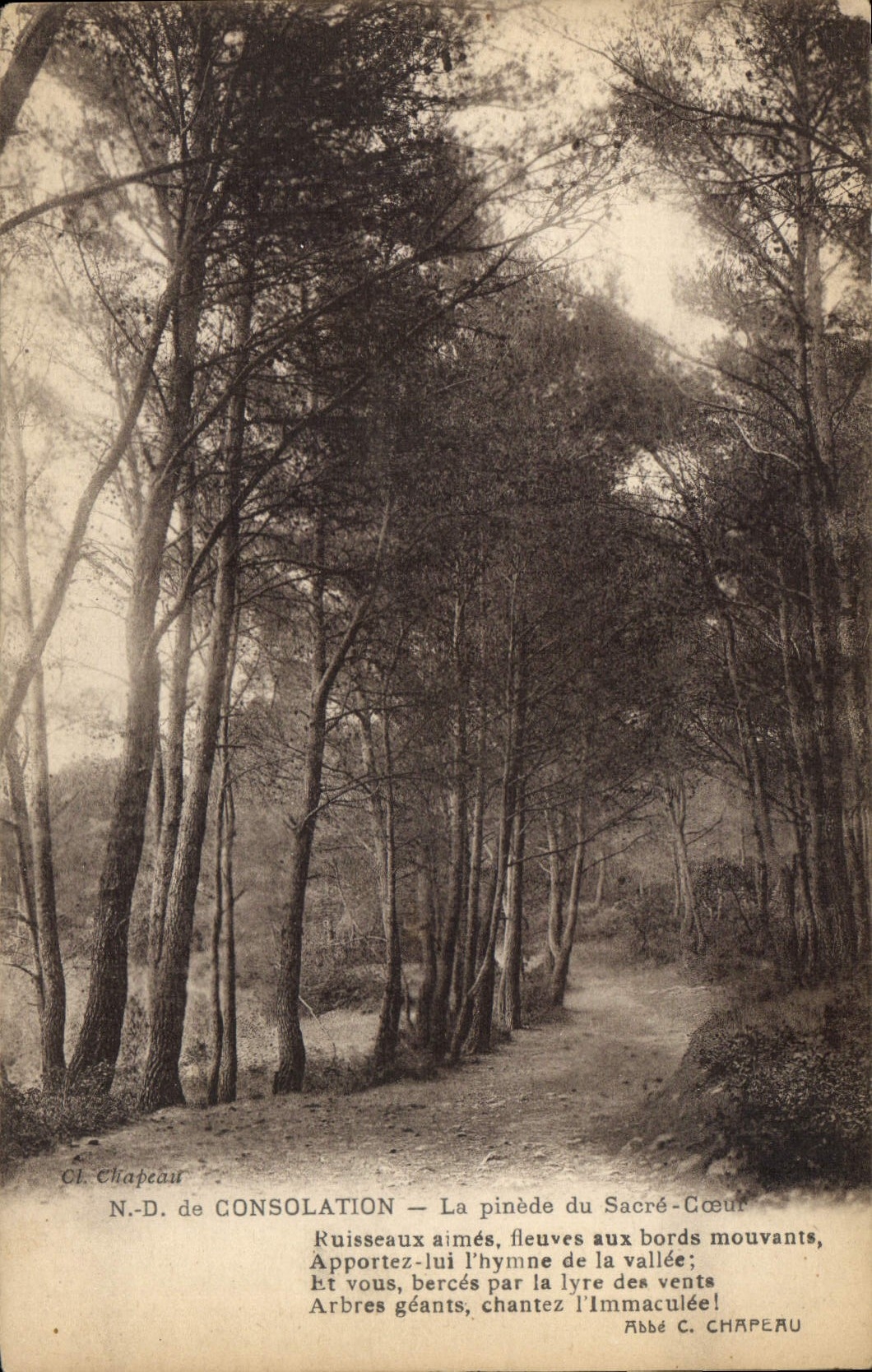 CPA De Consolation La Pinede du Sacre Coeur