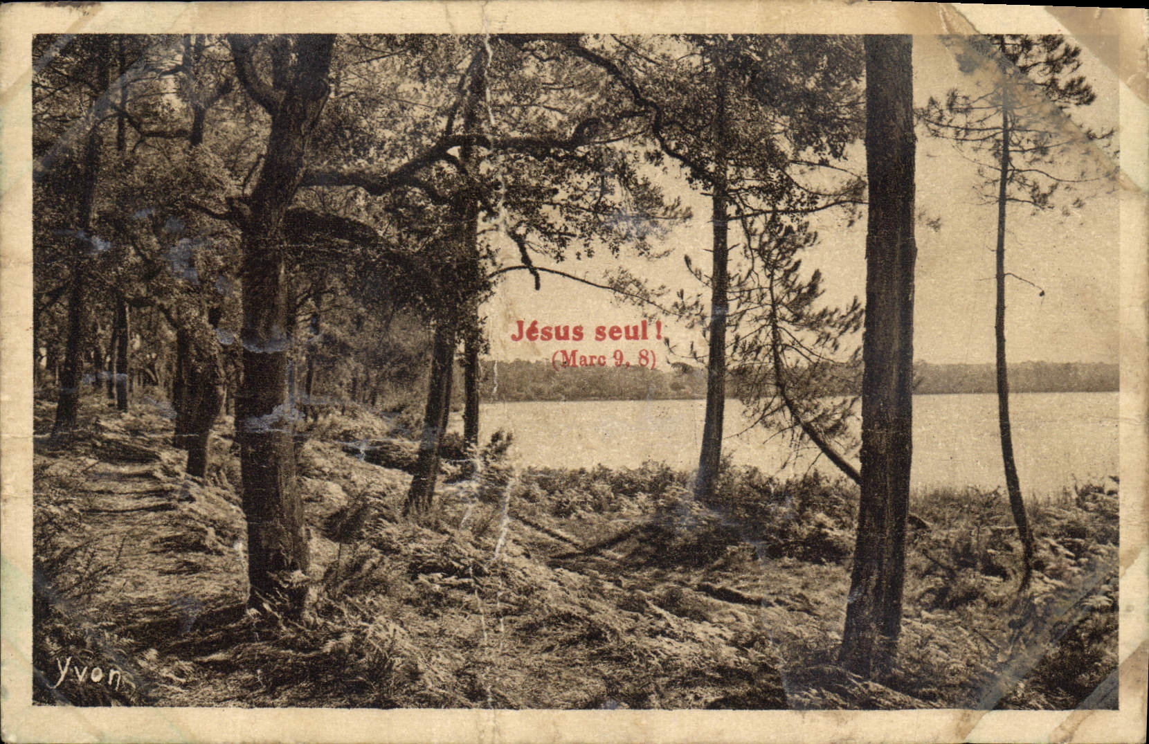CPA Les landes de Gascogne L'Etang Blanc 