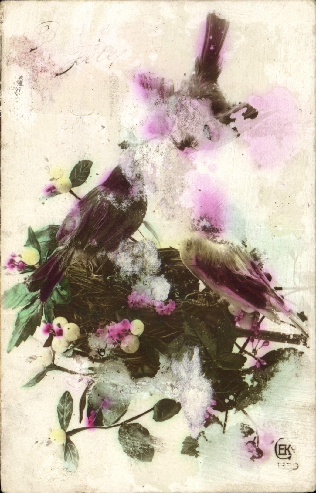 CPA Fleurs Oiseaux