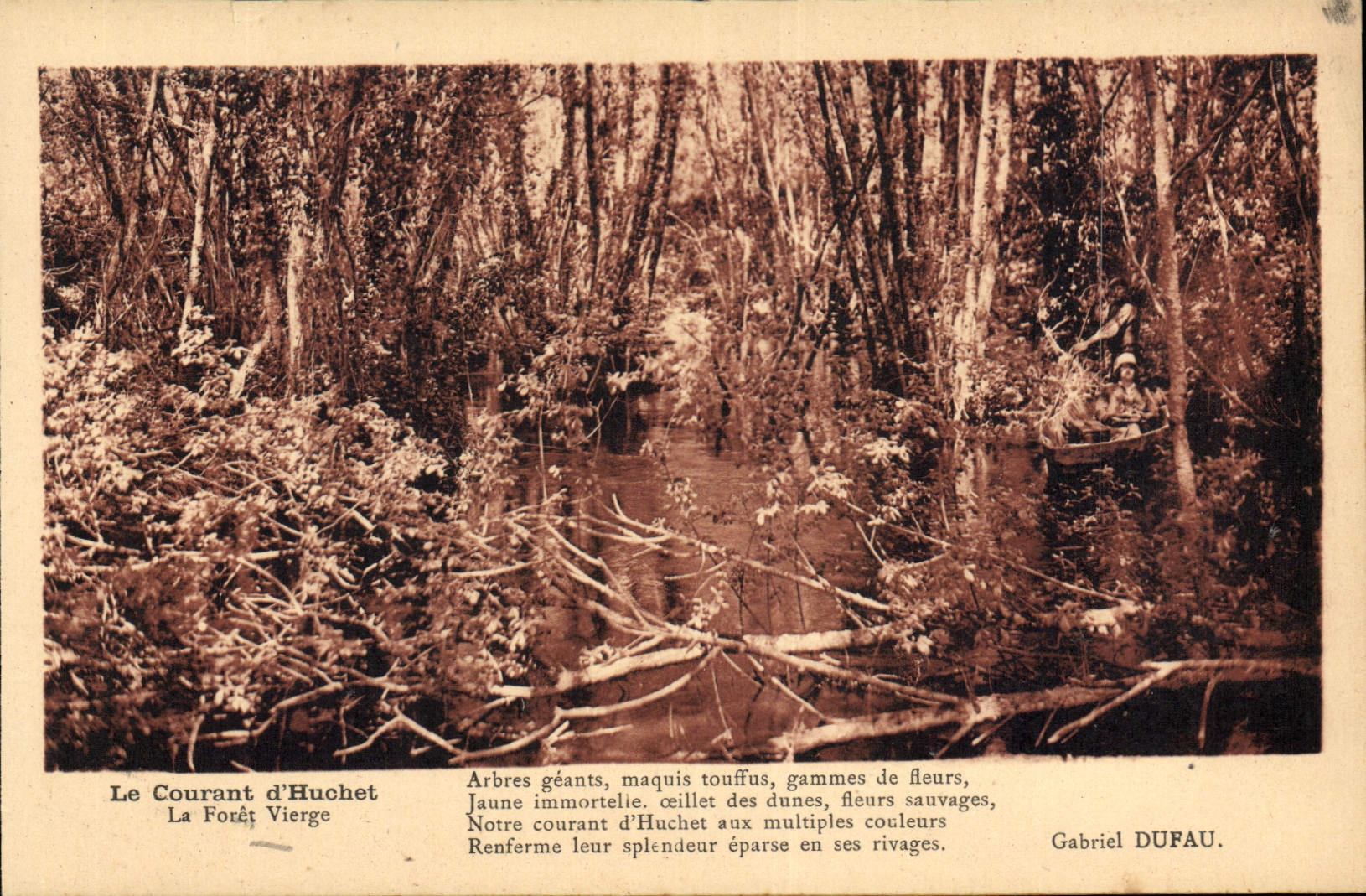CPA Le Courant d'Huchet La Foret Vierge
