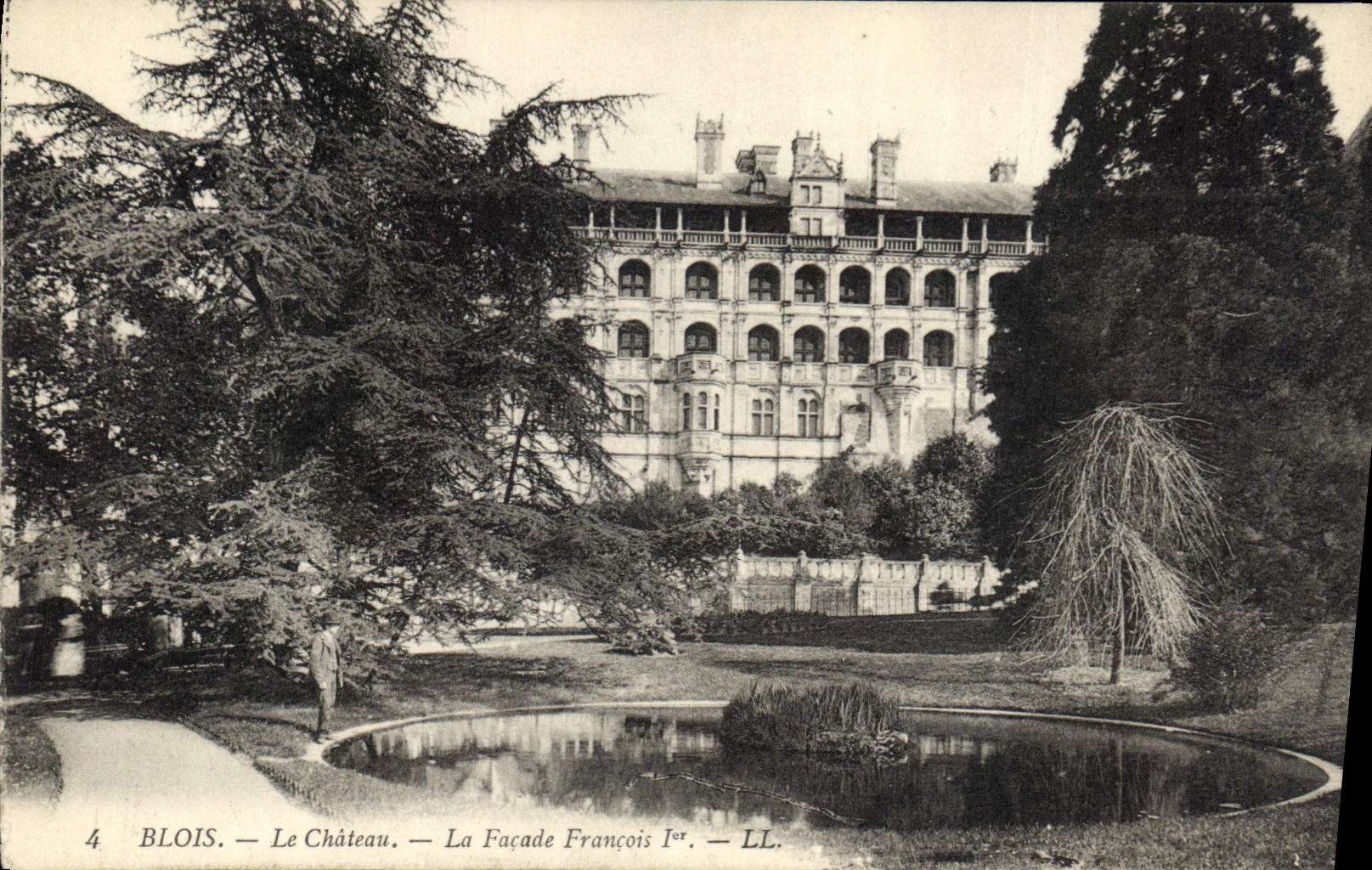 CPA Blois le Chateau la Facade Francois 