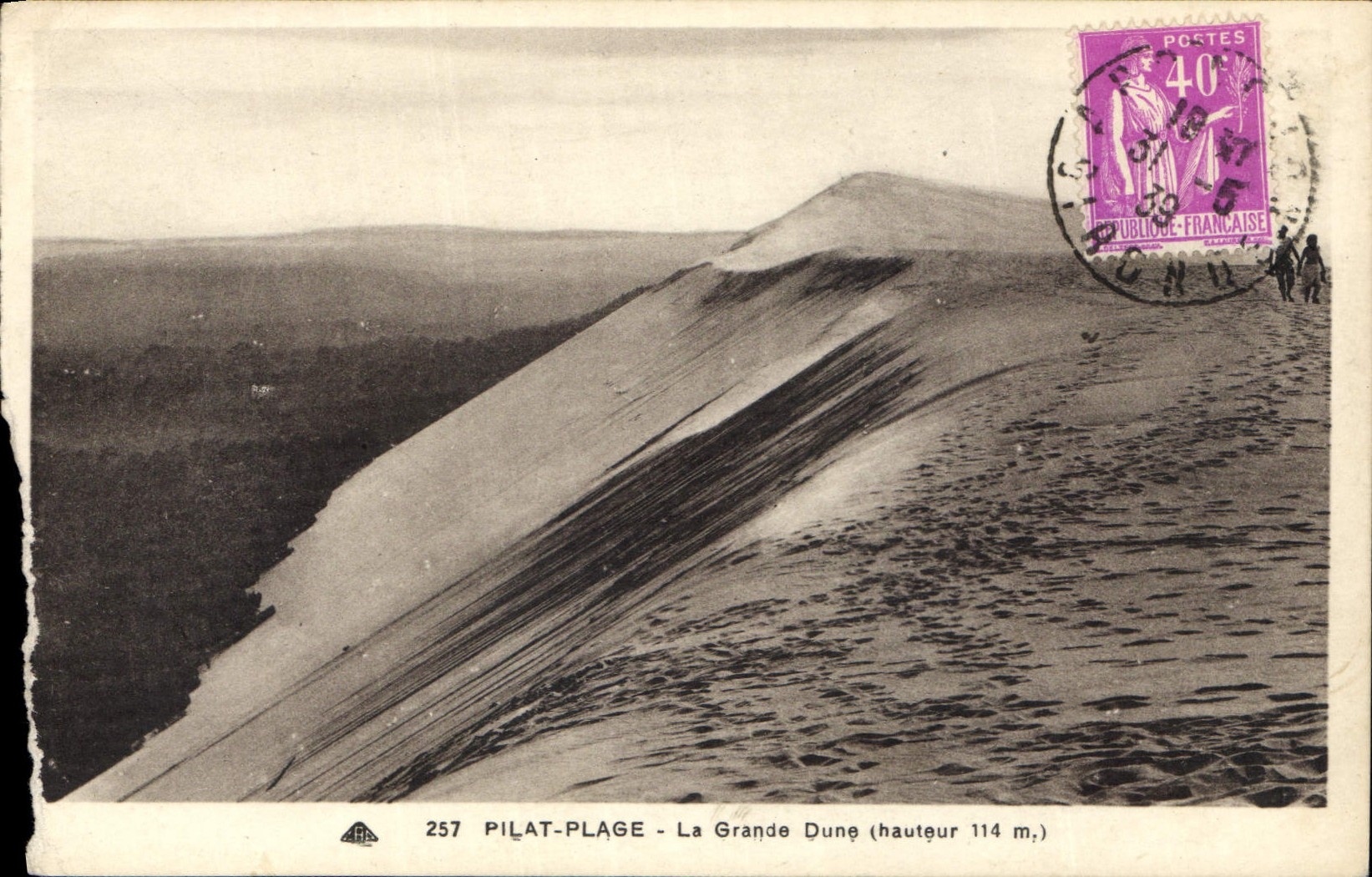 CPA Pilat Plage La Grande Dune hauteur 114m 