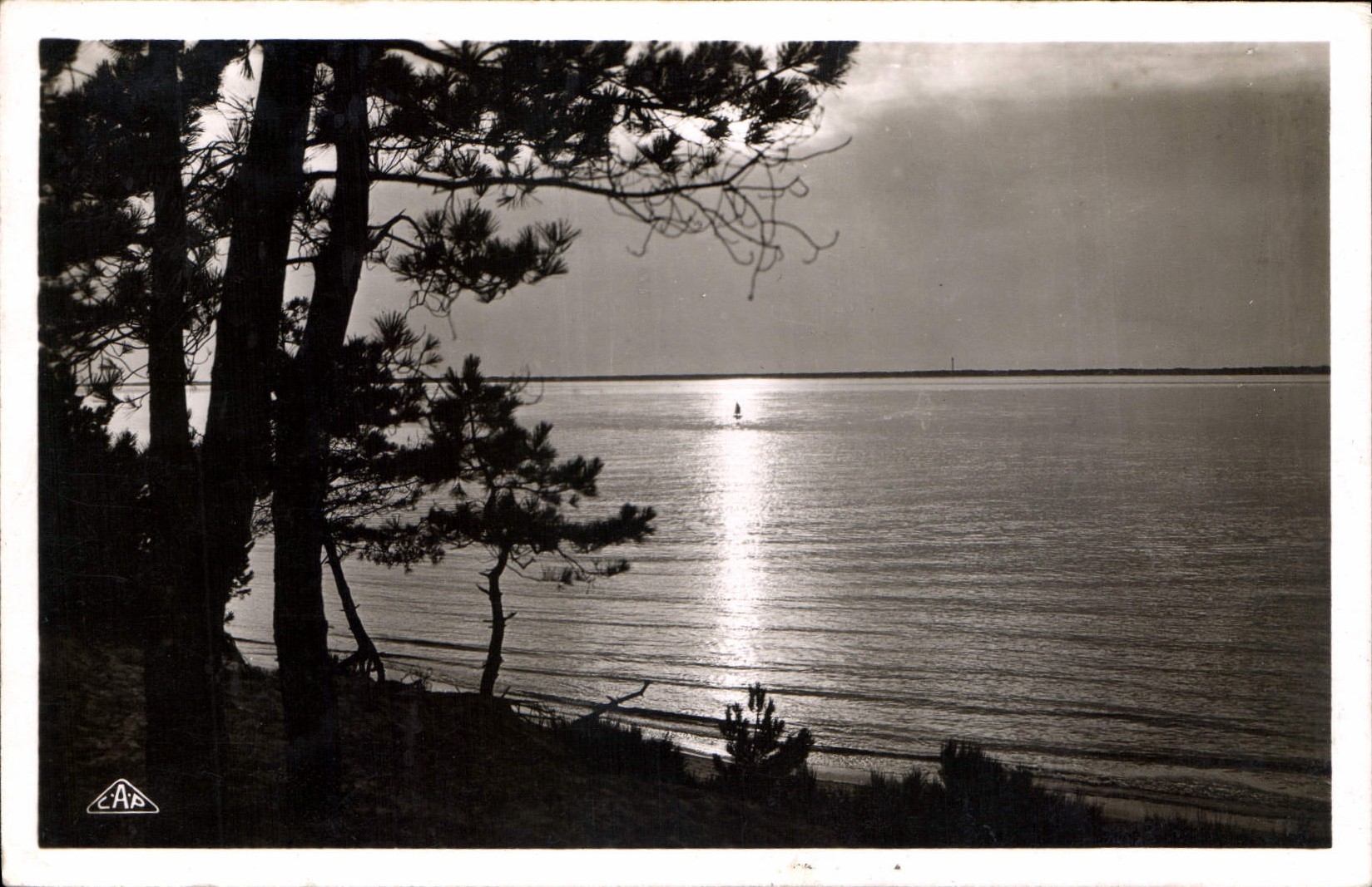 CPA Arcachon Cote d'Argent Coucher de Soleil