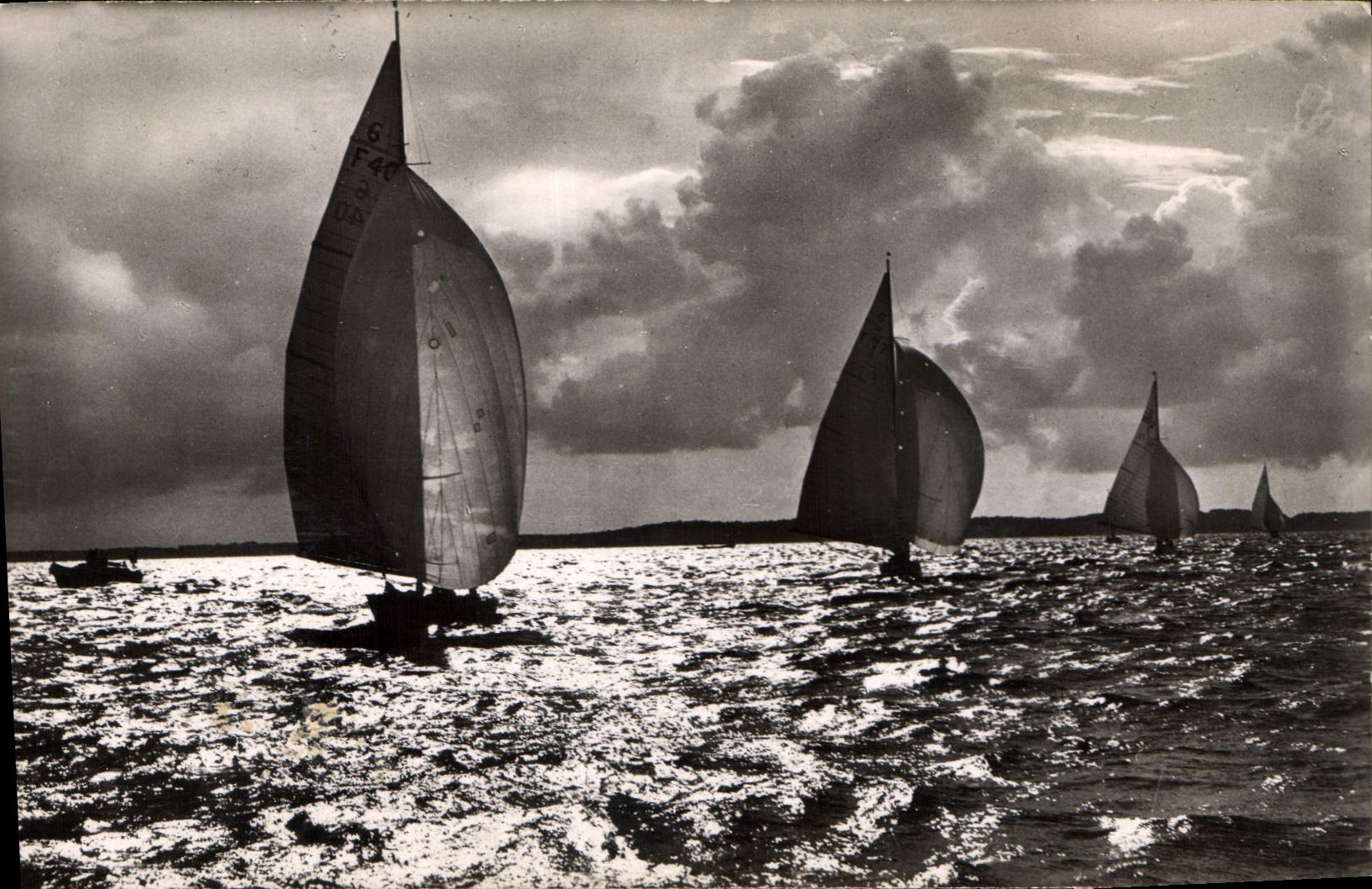 CPA Bassin d'Arcachon Regates 